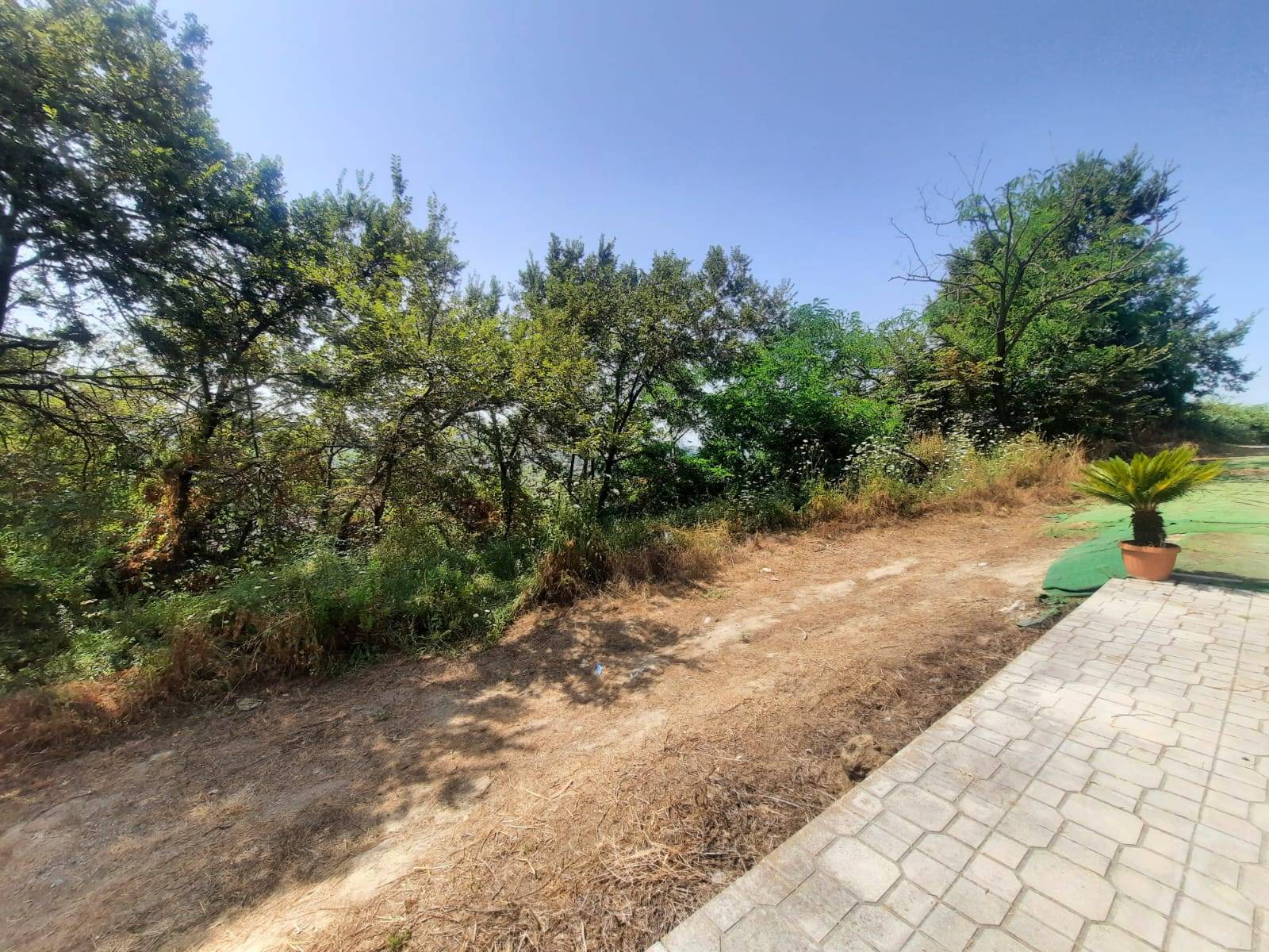 Terreno Agricolo in vendita a Napoli