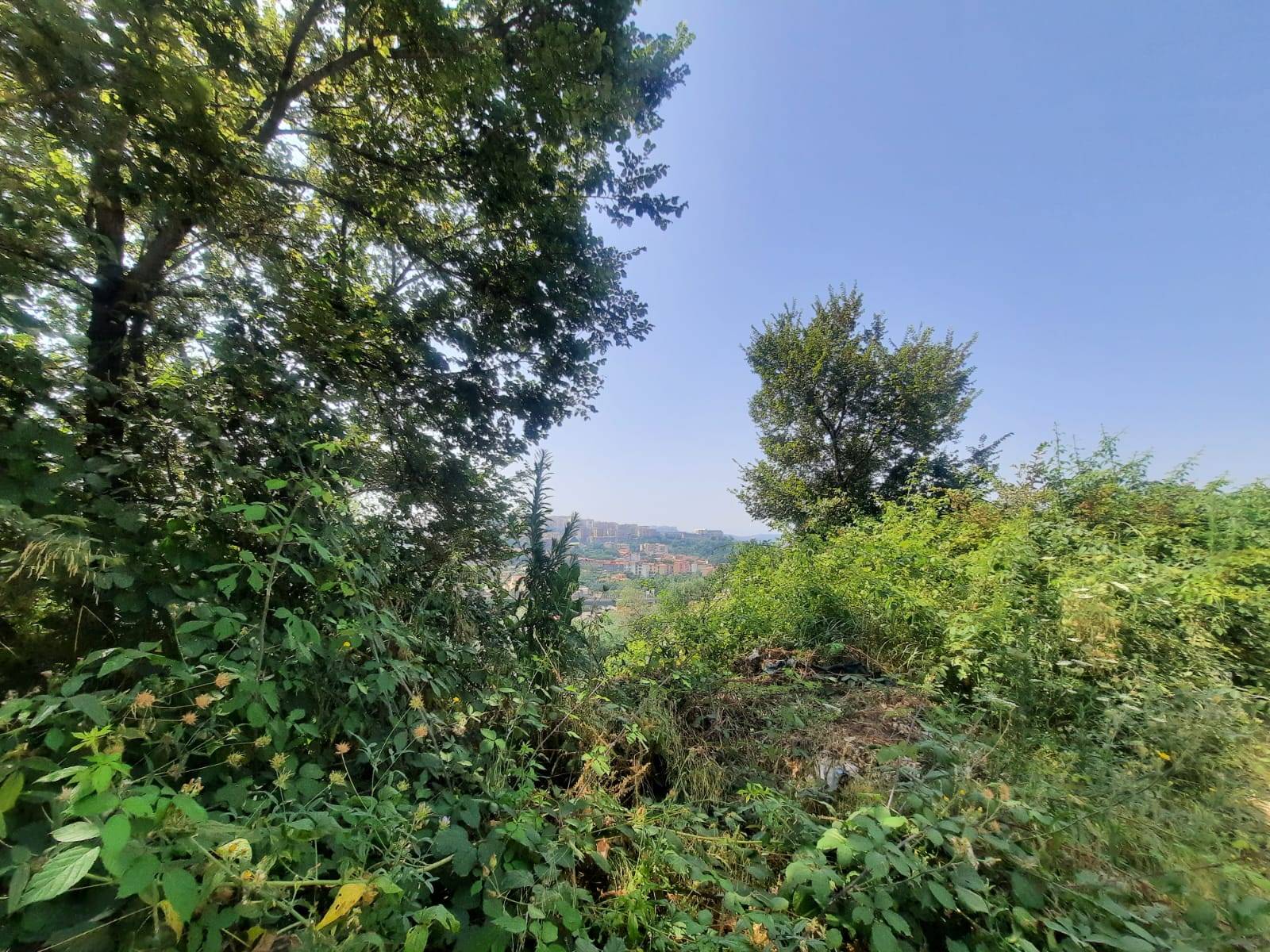 Terreno Agricolo in vendita a Napoli