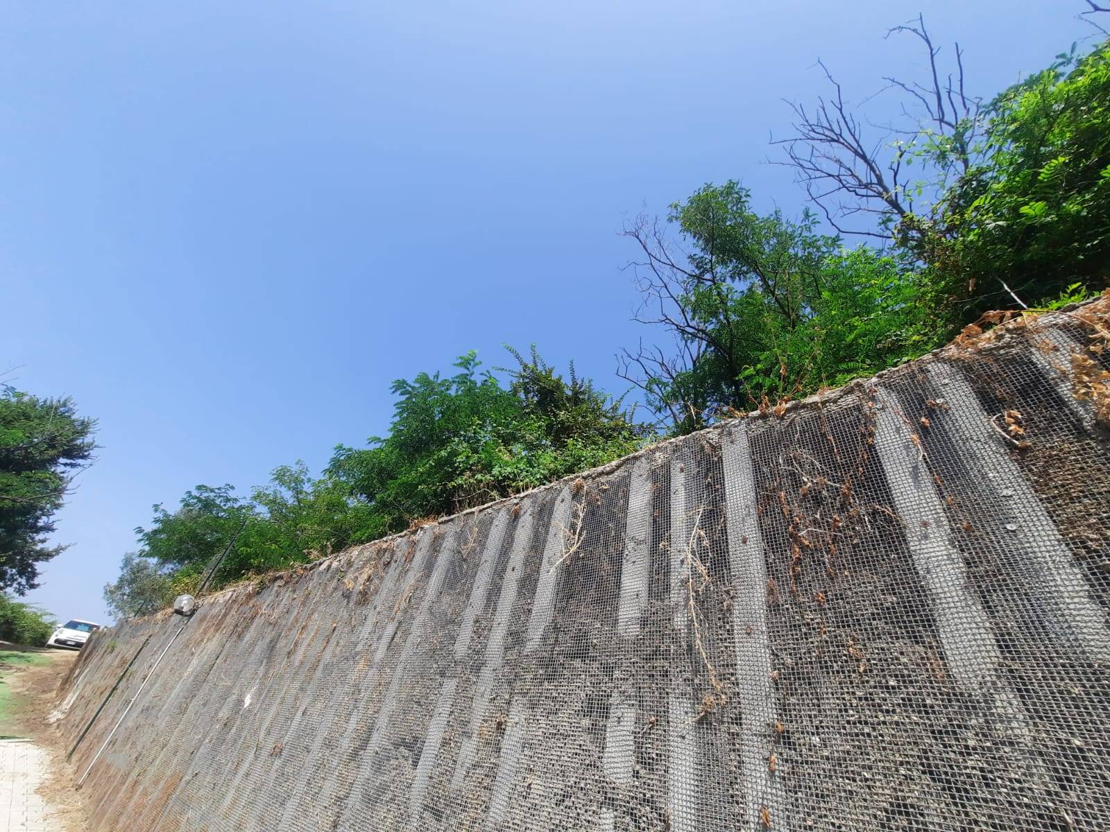 Terreno Agricolo in vendita a Napoli