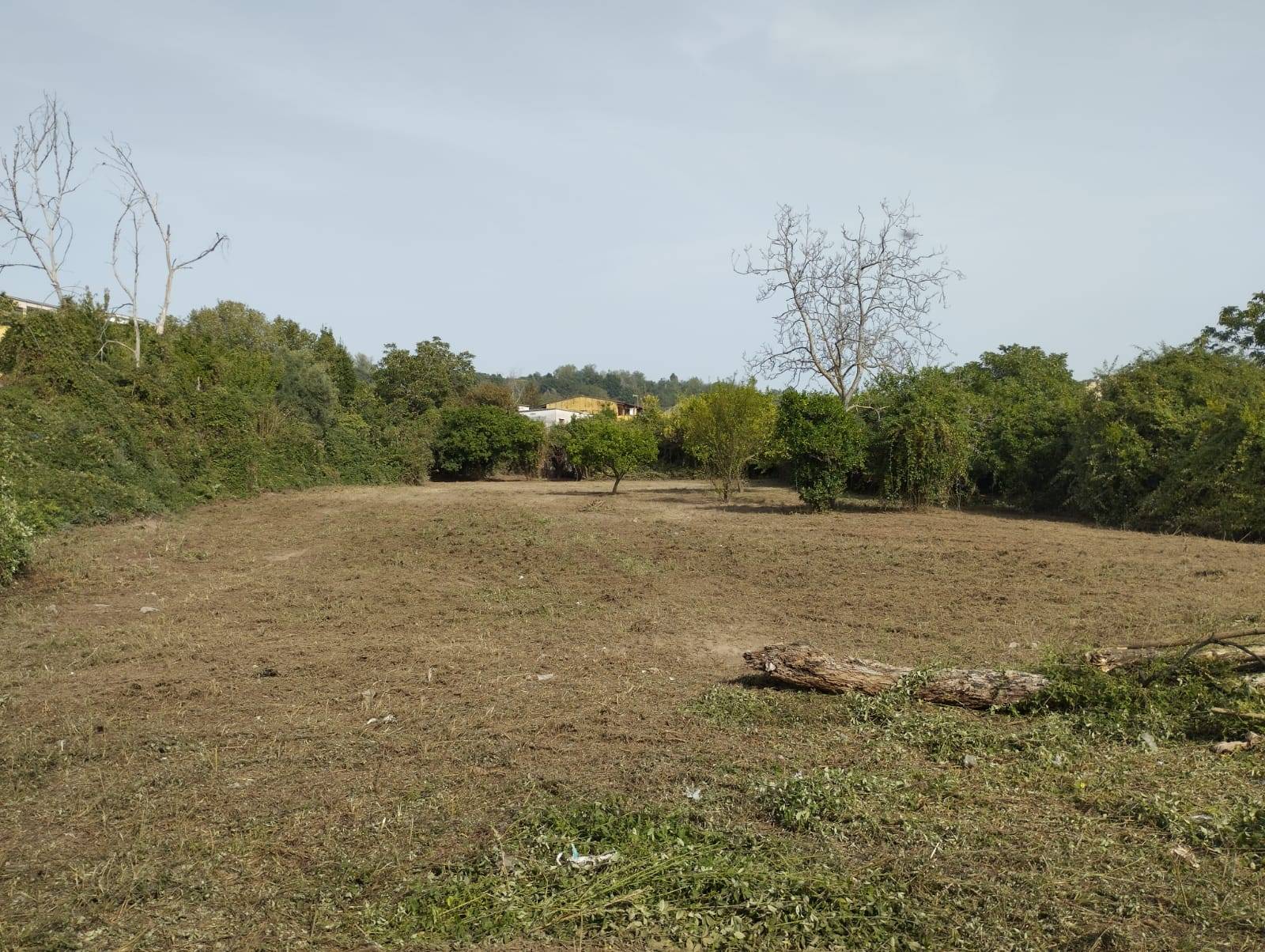 Terreno Agricolo in affitto a Napoli