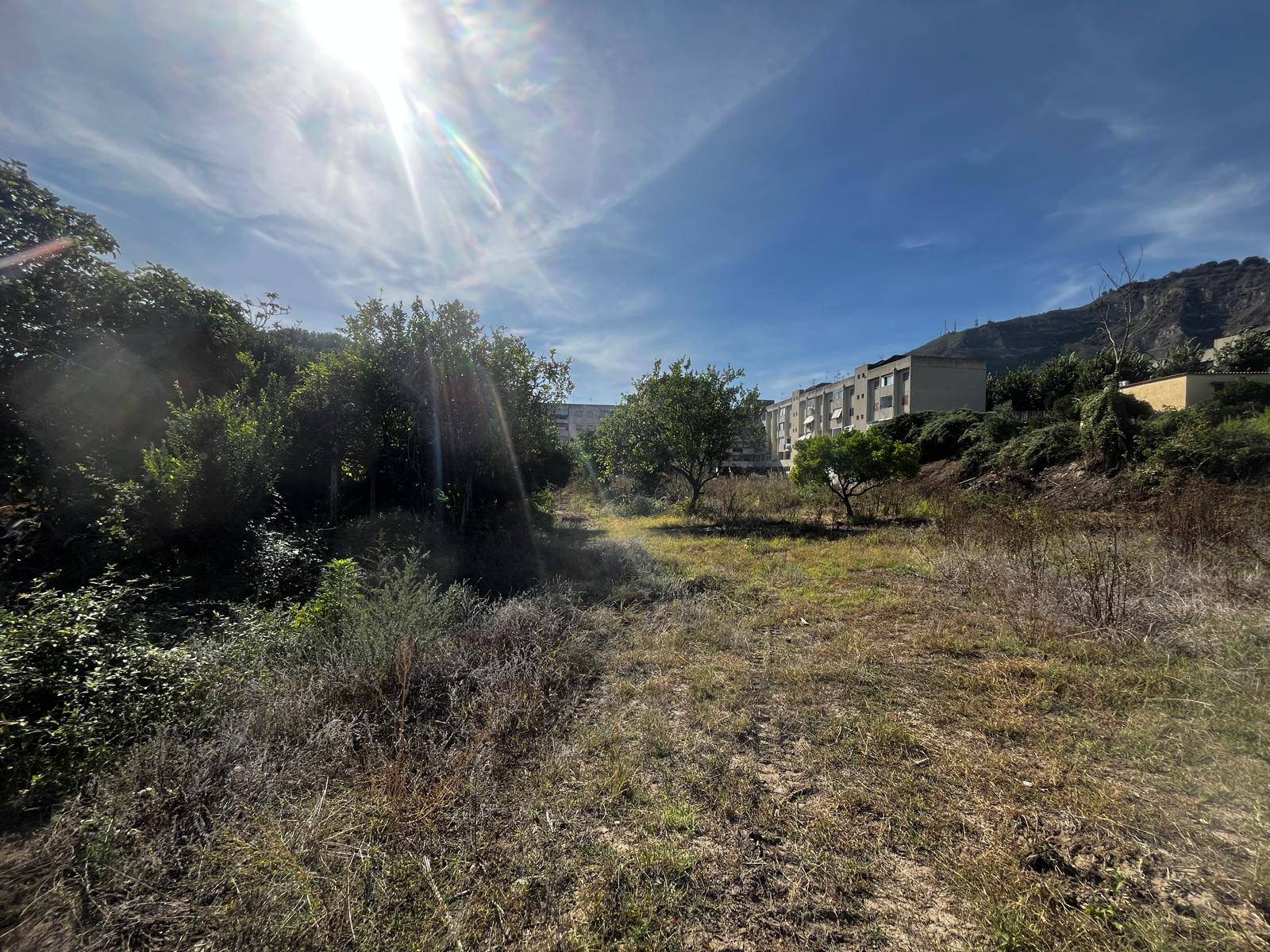 Terreno Agricolo in affitto a Napoli