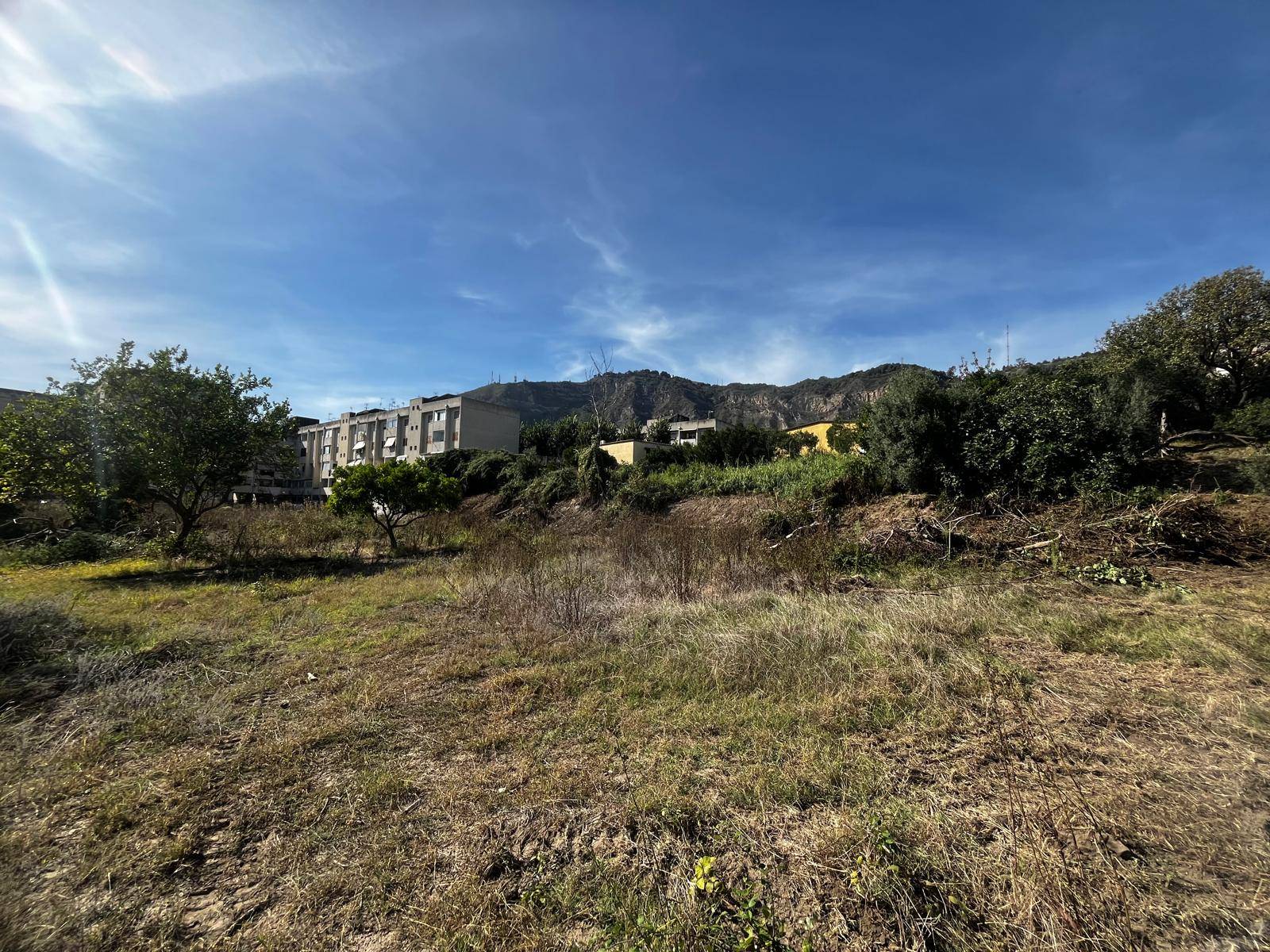 Terreno Agricolo in affitto a Napoli