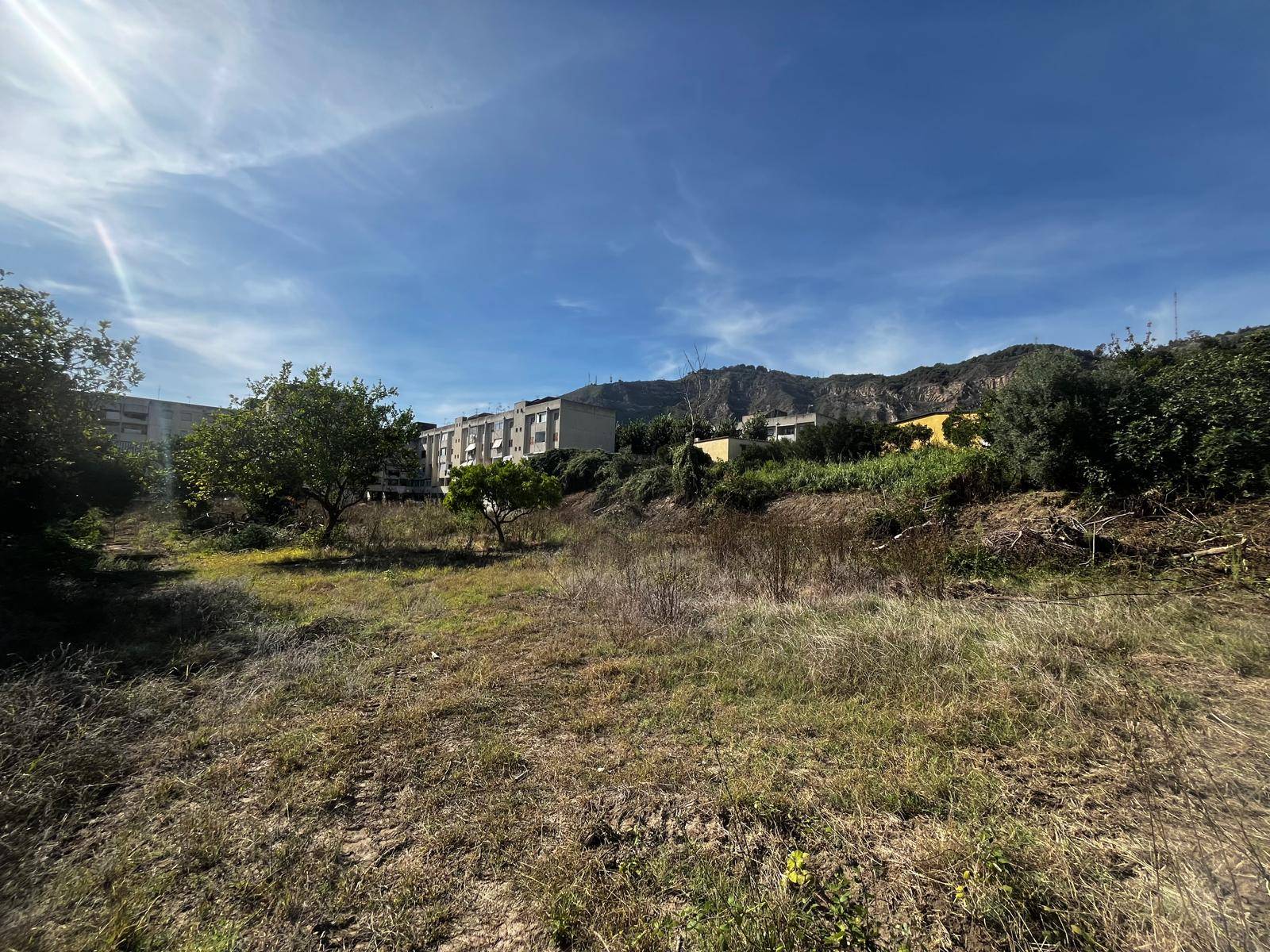 Terreno Agricolo in affitto a Napoli
