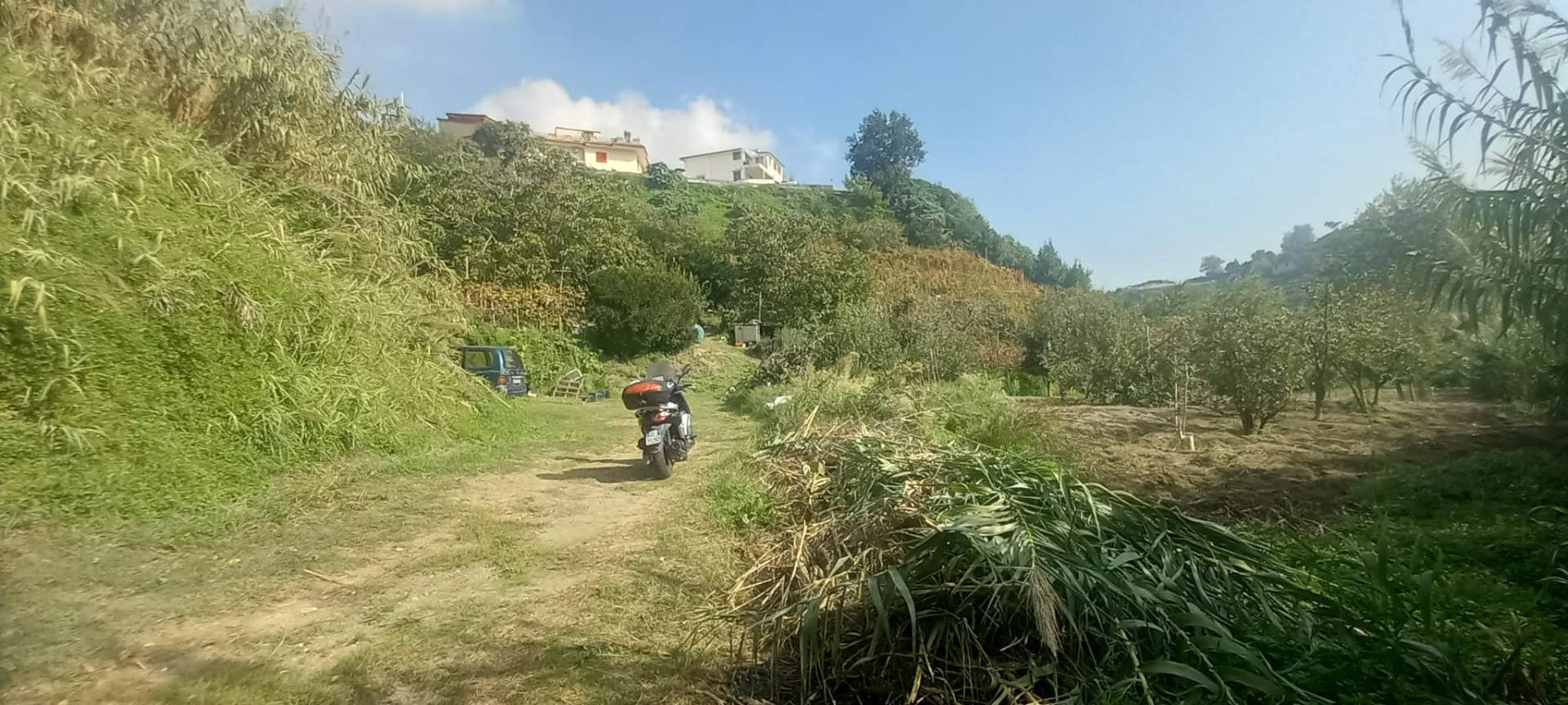 Terreno Agricolo in vendita a Napoli, Pianura