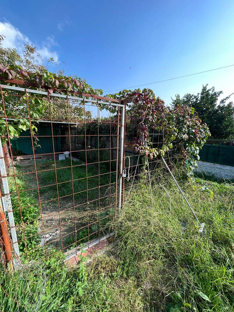 Terreno Agricolo in affitto a Napoli, Soccavo
