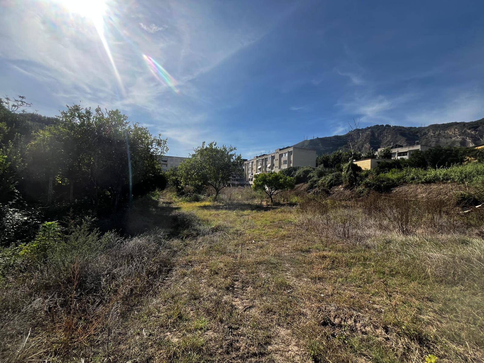 Terreno Agricolo in affitto a Napoli, Soccavo
