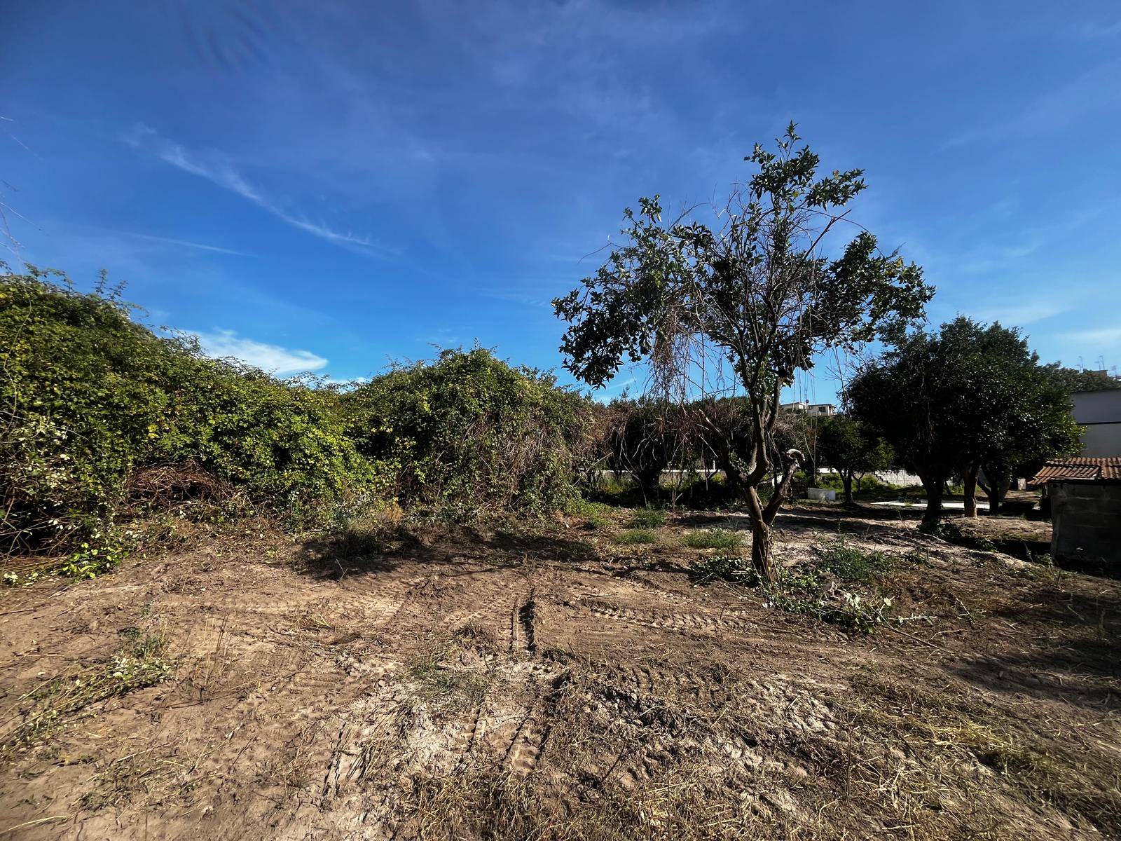Terreno Agricolo in affitto a Napoli, Soccavo