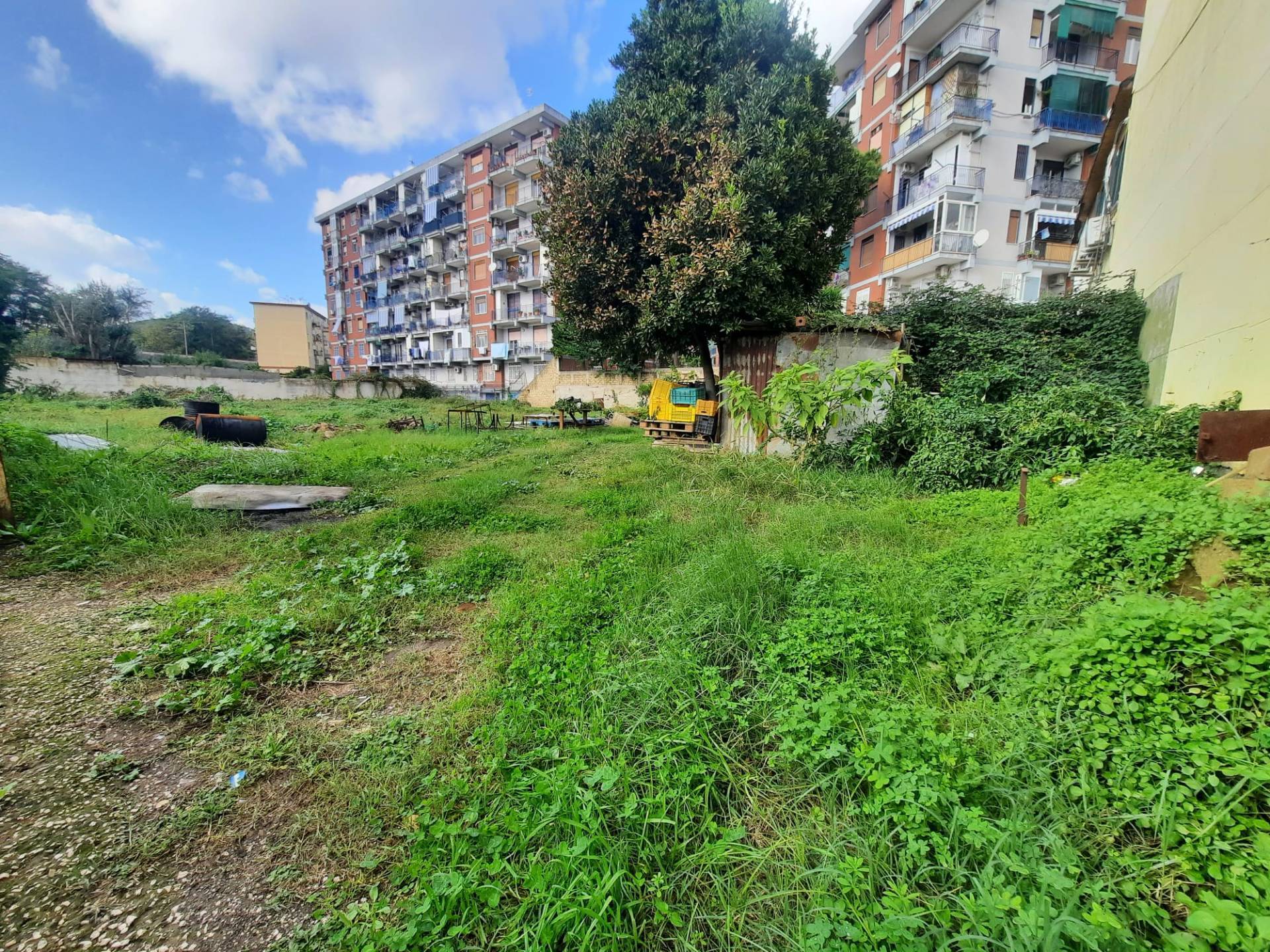 Terreno Agricolo in vendita a Napoli