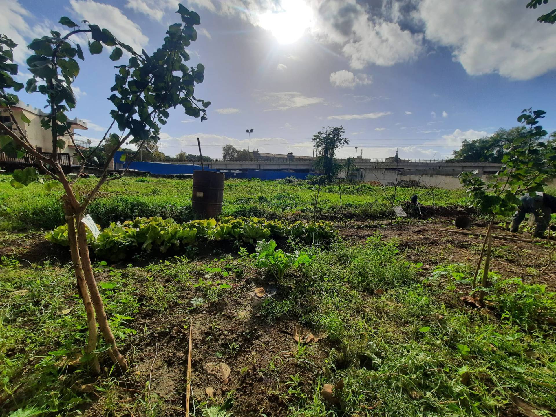 Terreno Agricolo in vendita a Napoli