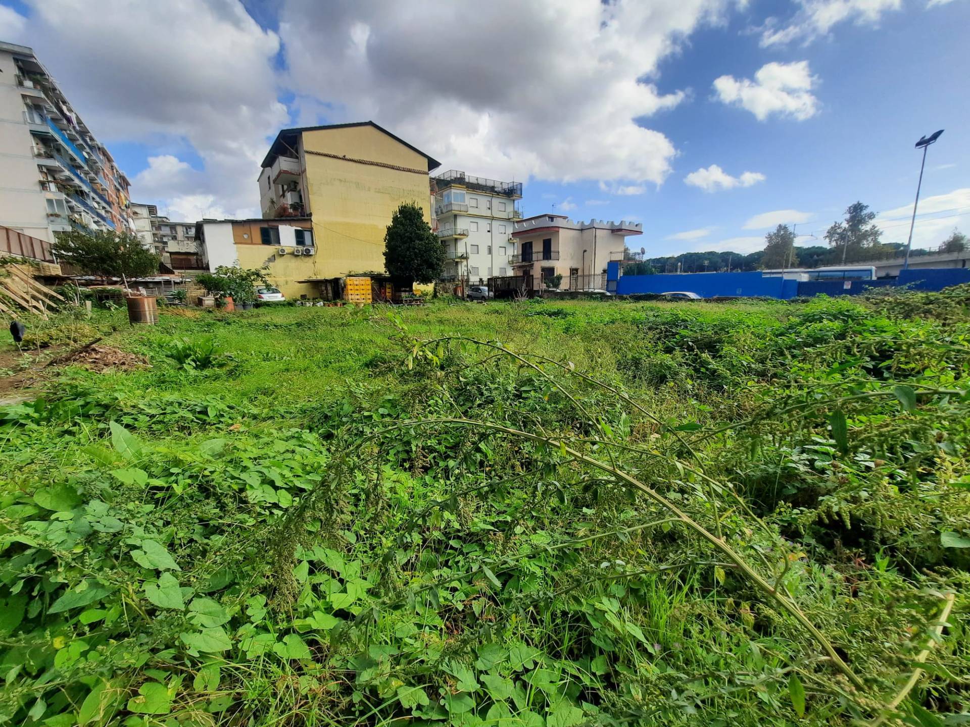 Terreno Agricolo in vendita a Napoli
