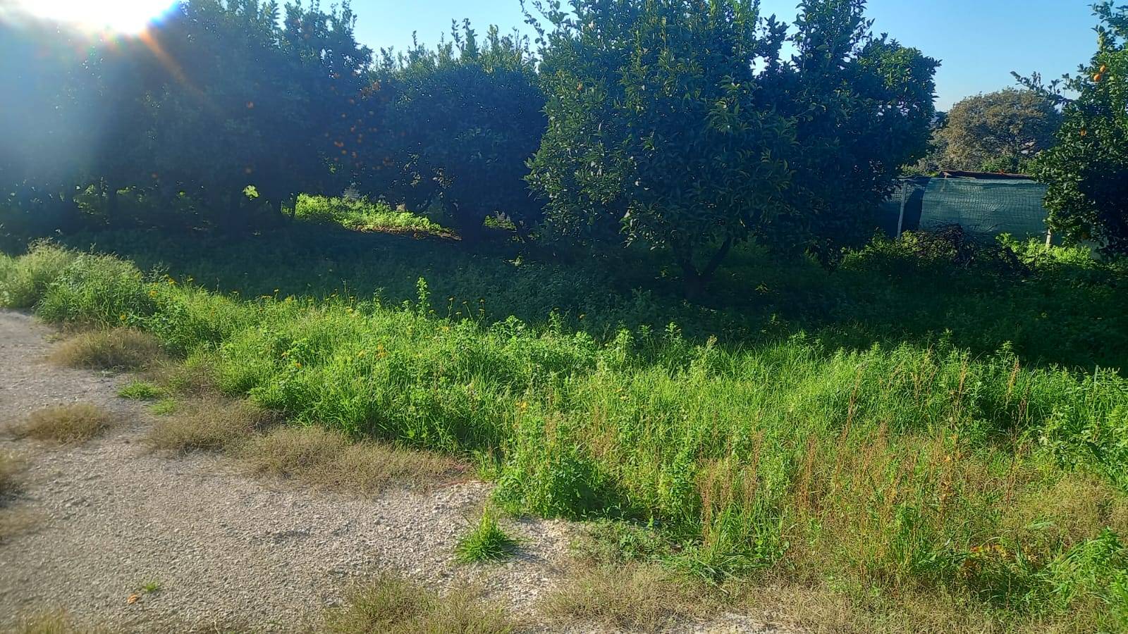 Terreno Agricolo in vendita a Napoli