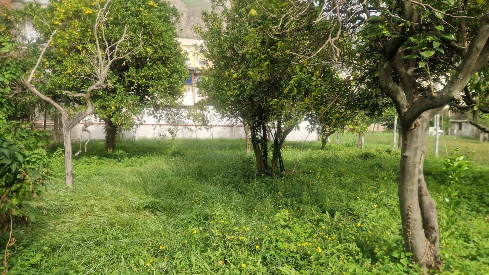 Terreno Agricolo in vendita a Napoli, Soccavo