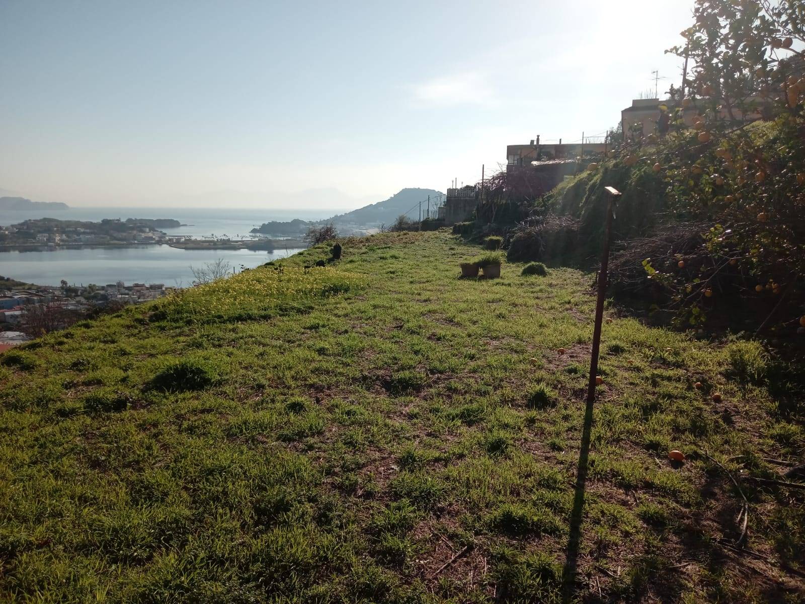 Terreno Agricolo in vendita a Monte di Procida