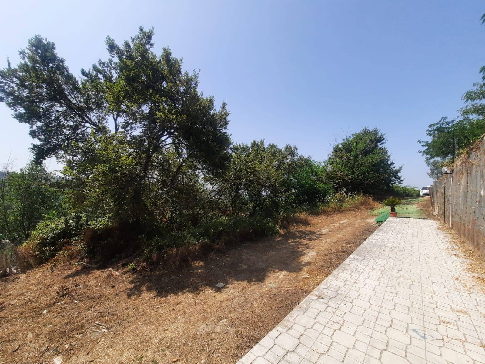 Terreno Agricolo in vendita a Napoli