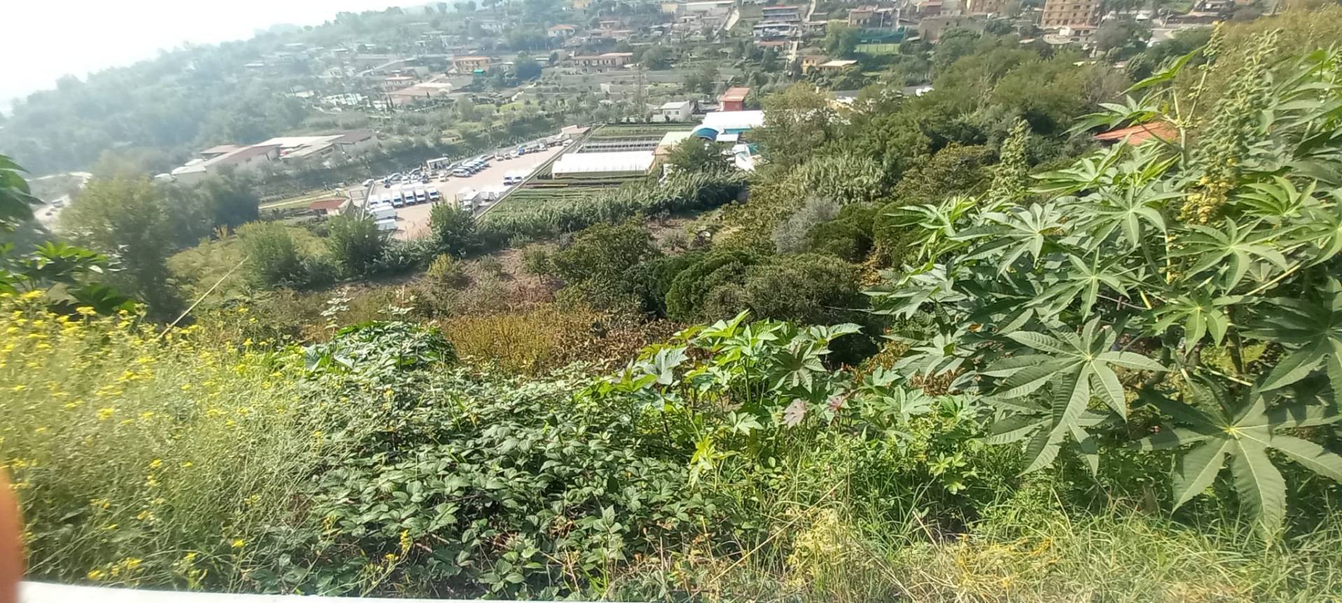 Terreno Agricolo in vendita a Napoli, Pianura