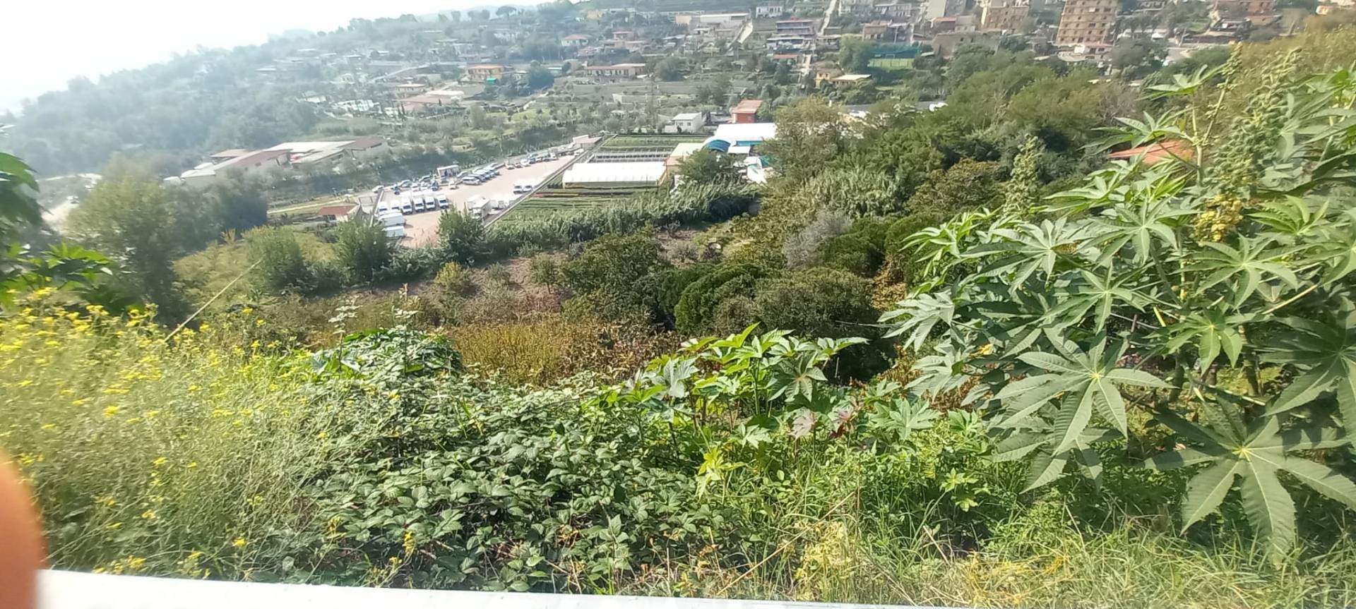 Terreno Agricolo in vendita a Napoli, Pianura