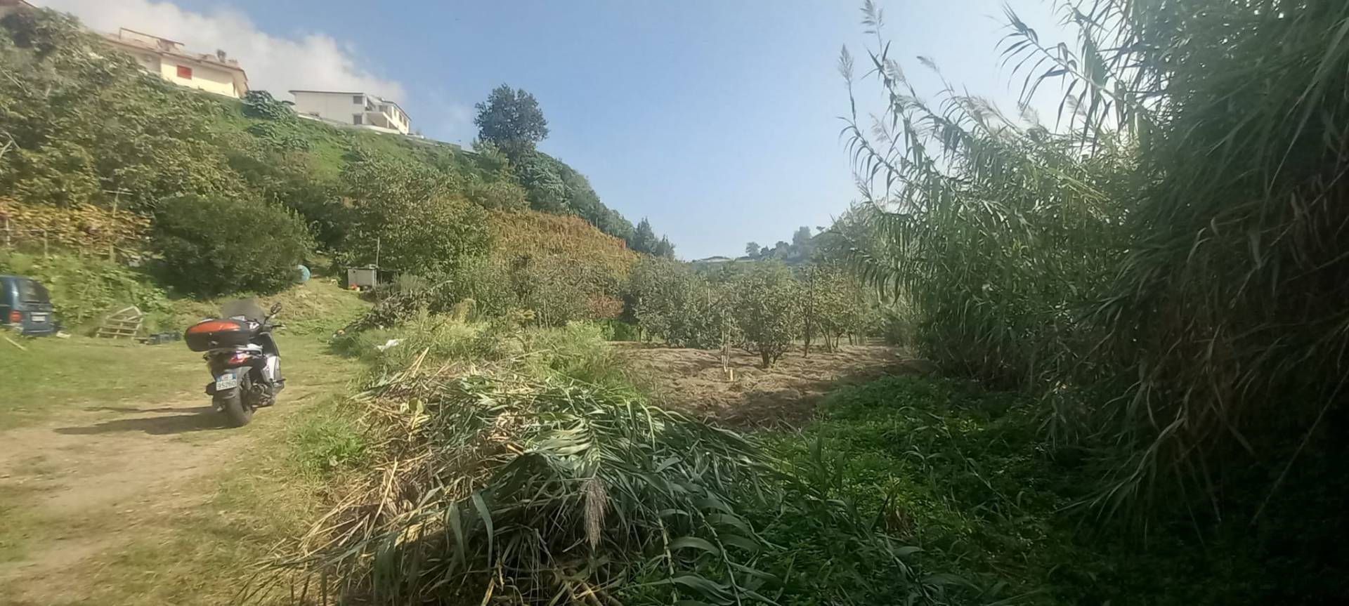 Terreno Agricolo in vendita a Napoli, Pianura