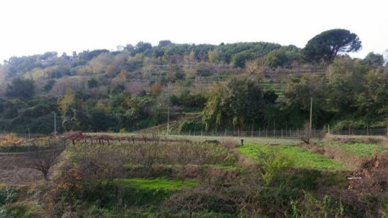 Terreno Agricolo in vendita a Napoli, Fuorigrotta