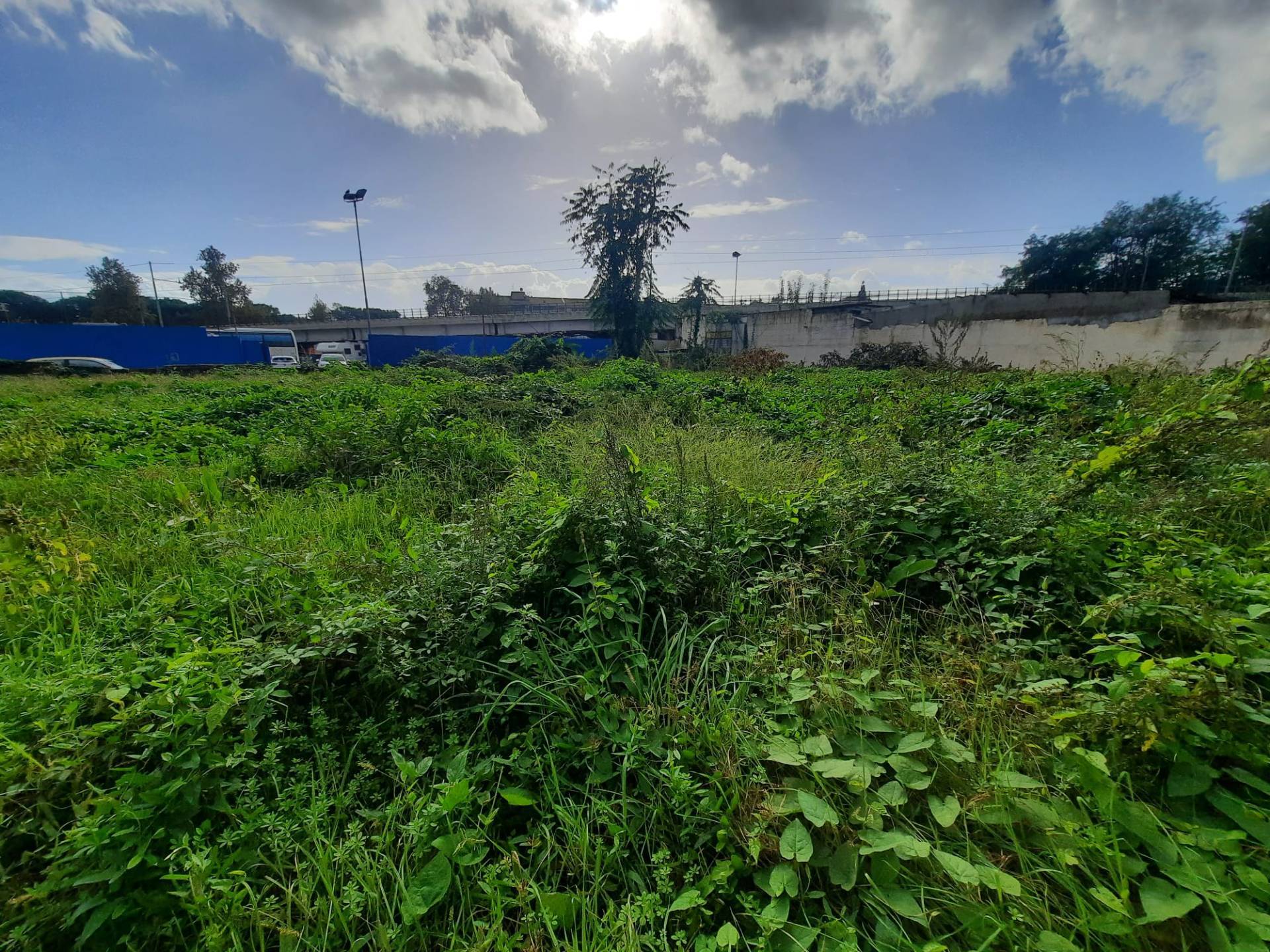 Terreno Agricolo in vendita a Napoli