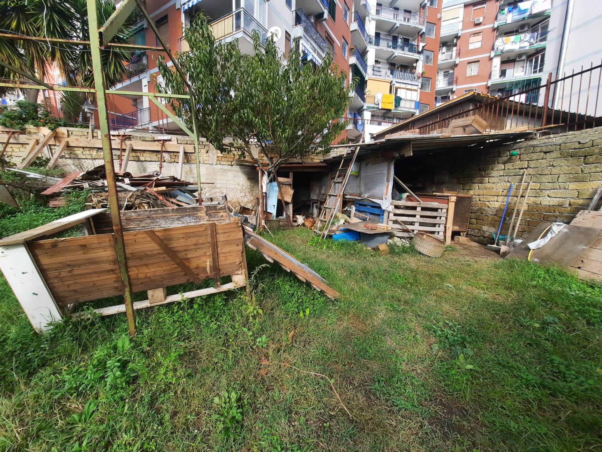Terreno Agricolo in vendita a Napoli