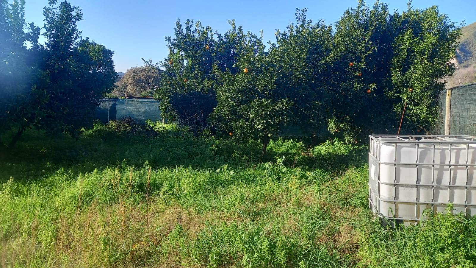 Terreno Agricolo in vendita a Napoli