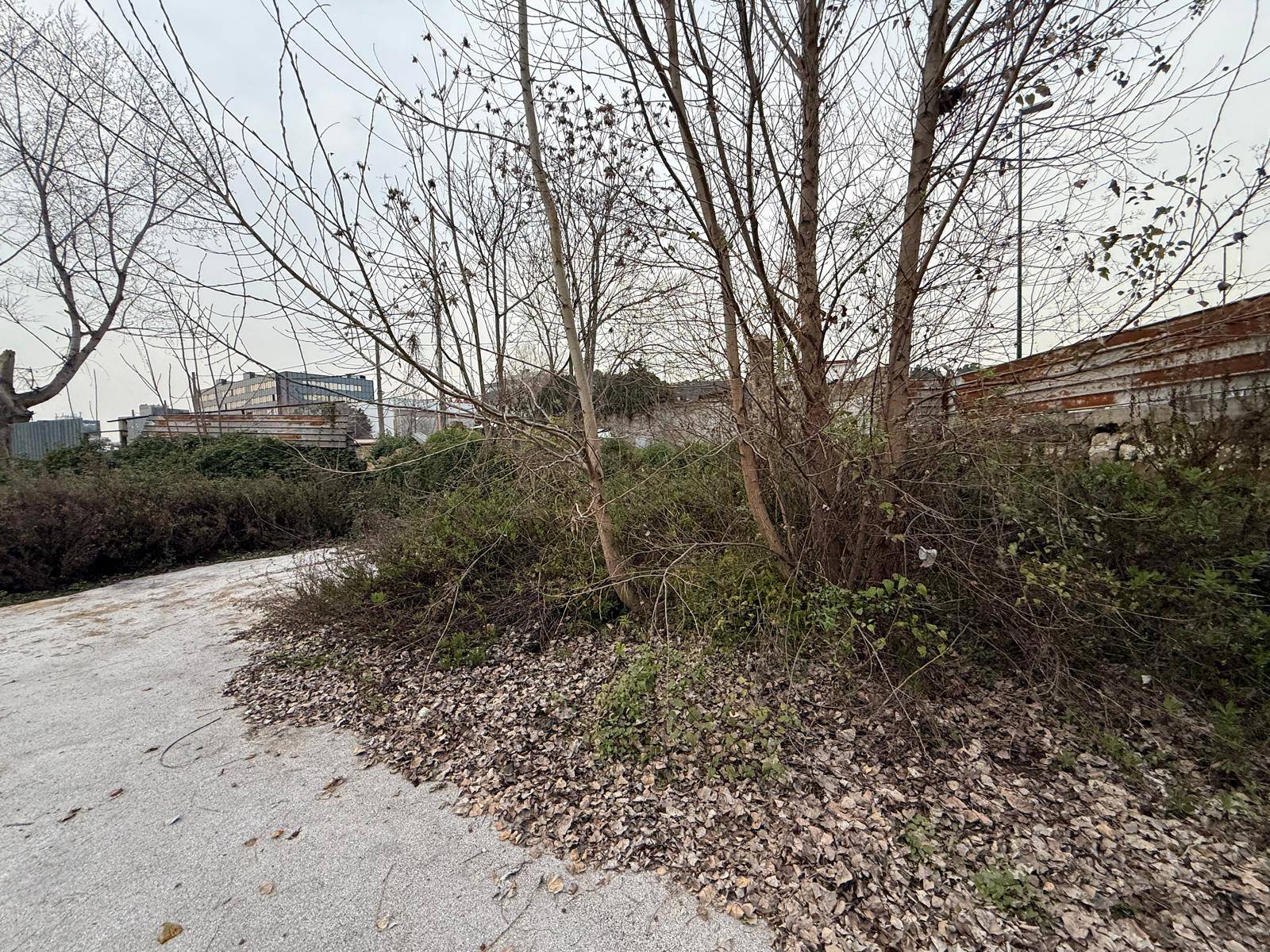 Terreno Agricolo in vendita a Napoli