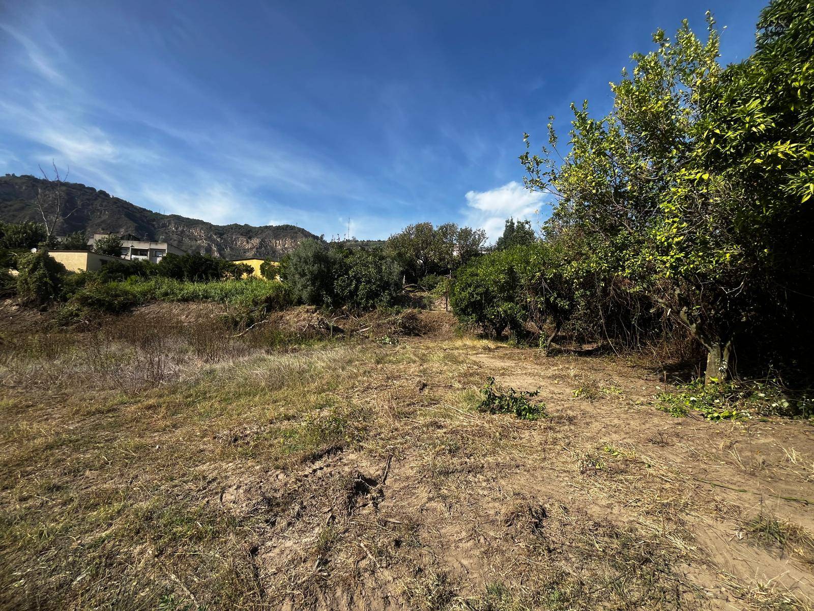 Terreno Agricolo in affitto a Napoli