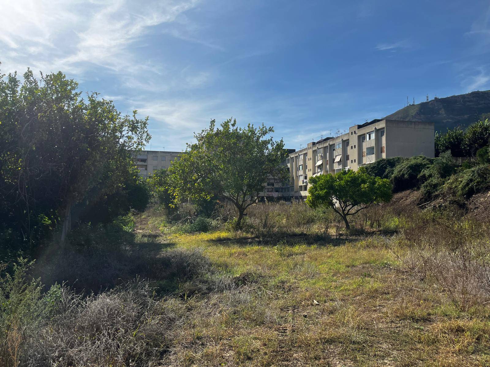 Terreno Agricolo in affitto a Napoli