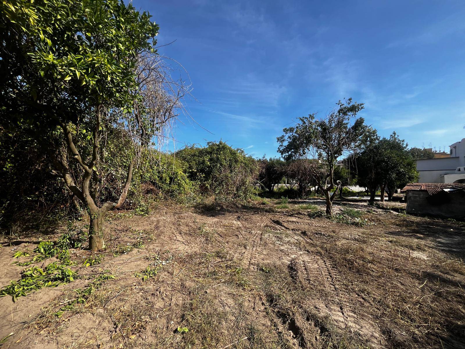 Terreno Agricolo in affitto a Napoli