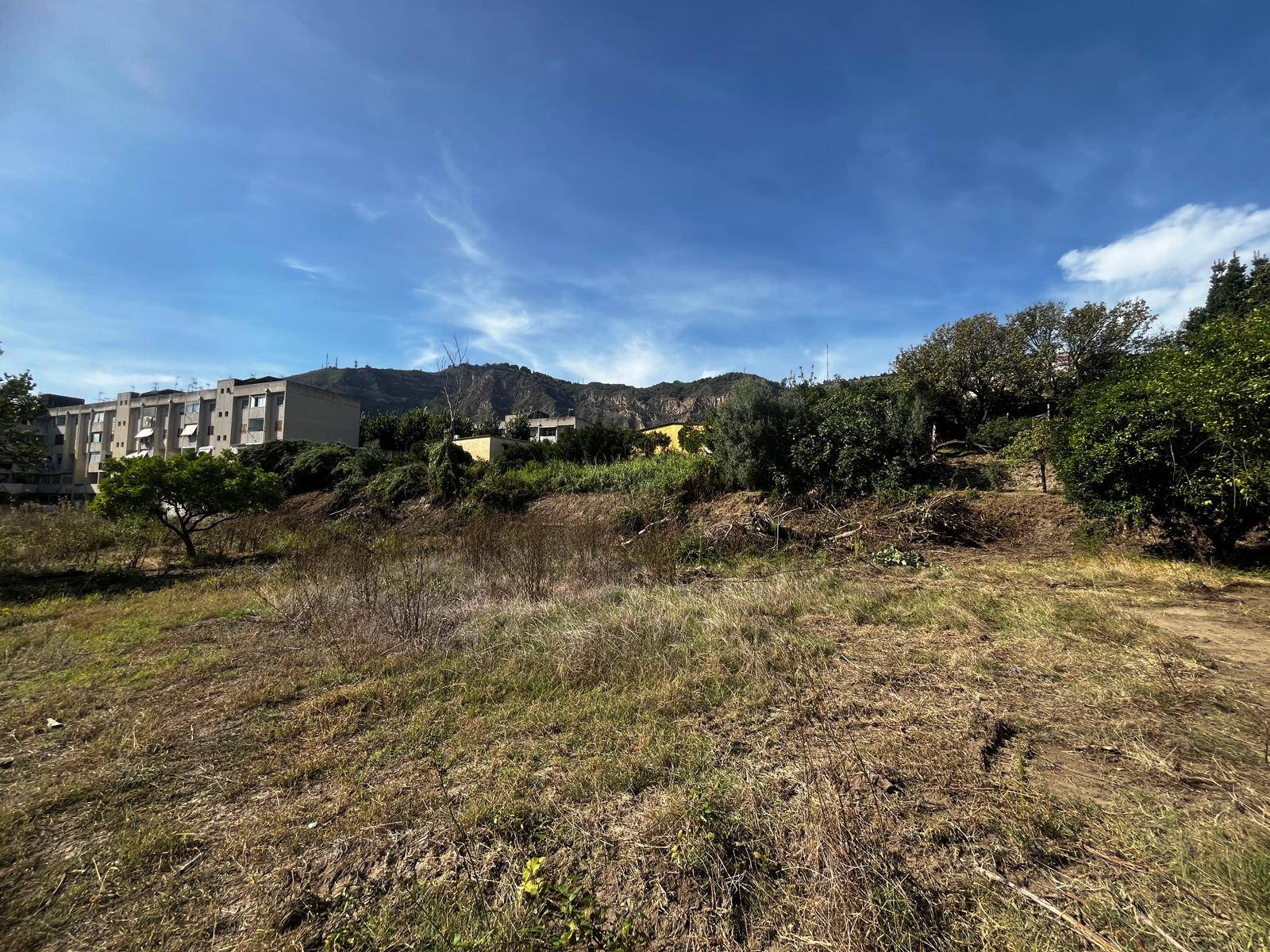 Terreno Agricolo in affitto a Napoli