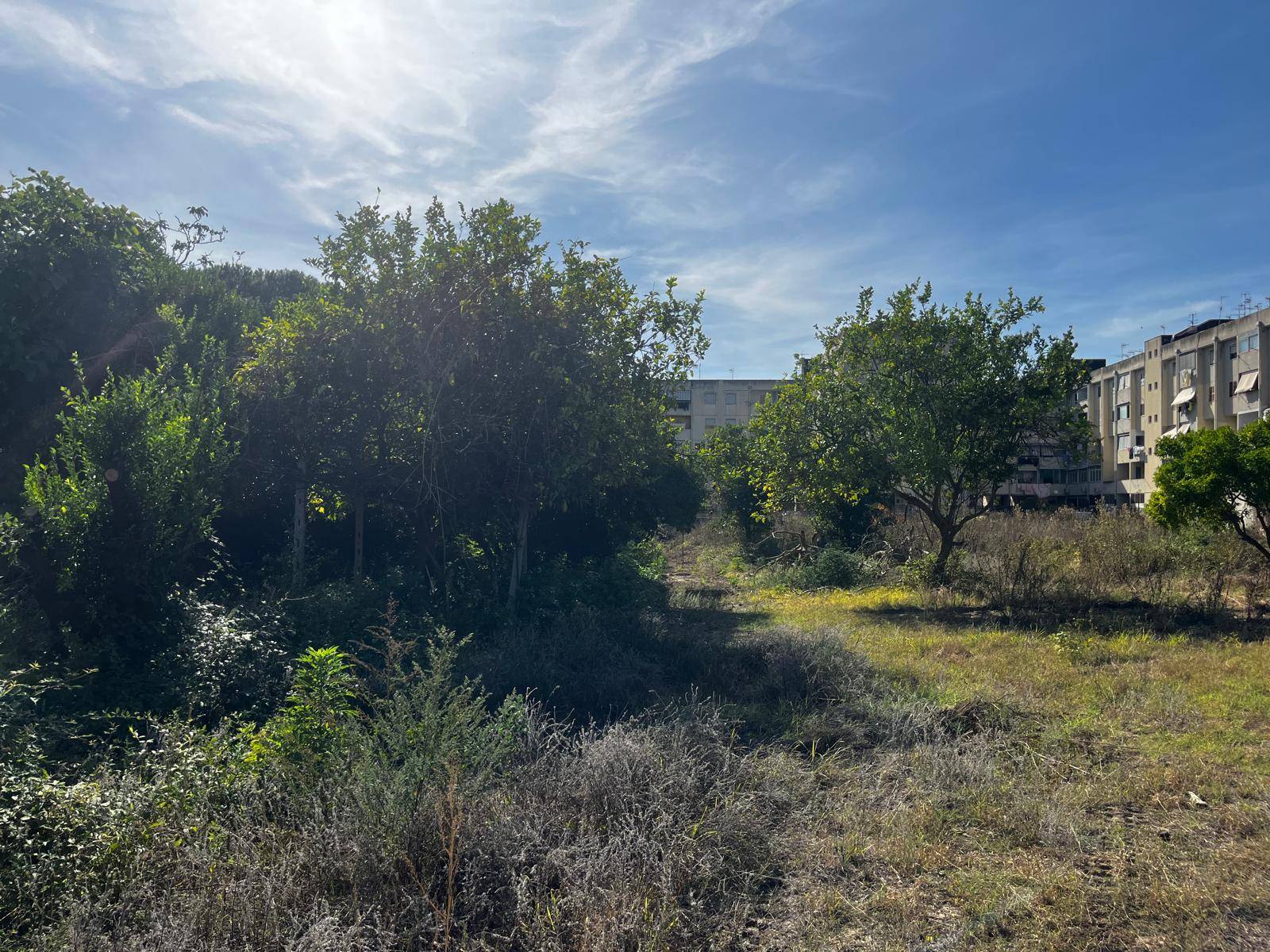 Terreno Agricolo in affitto a Napoli, Soccavo