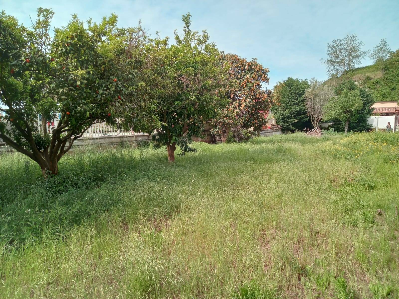 Terreno Agricolo in vendita a Napoli