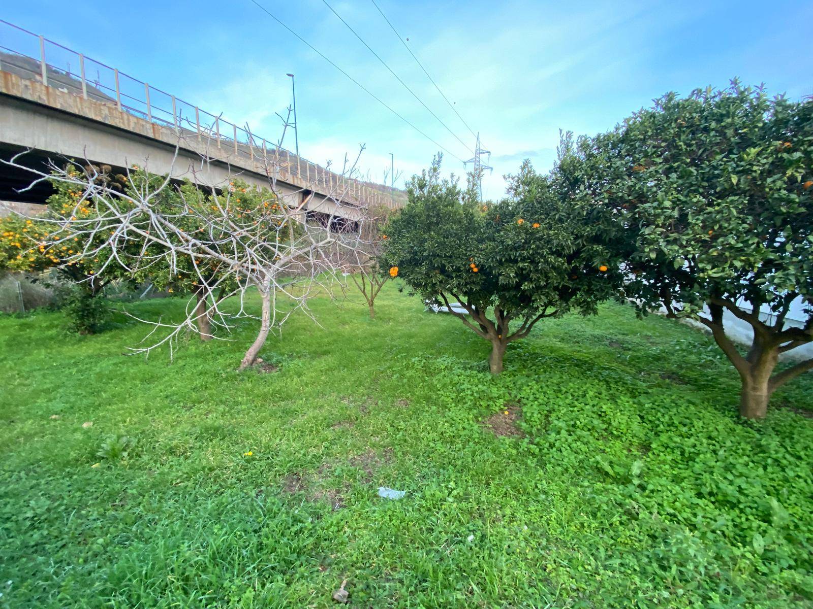 Terreno Agricolo in affitto a Napoli