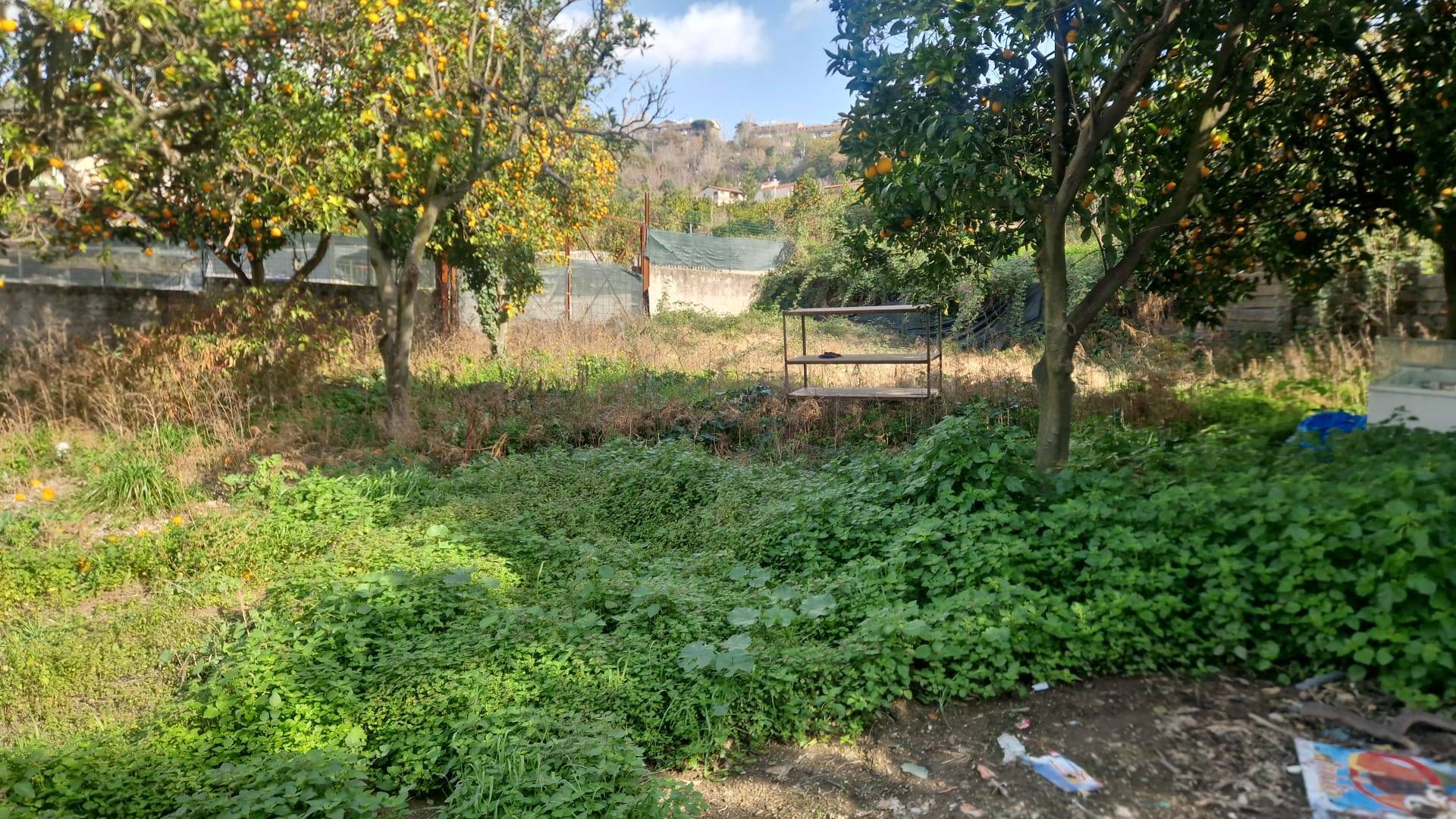 terreno agricolo in affitto a Napoli in zona Soccavo