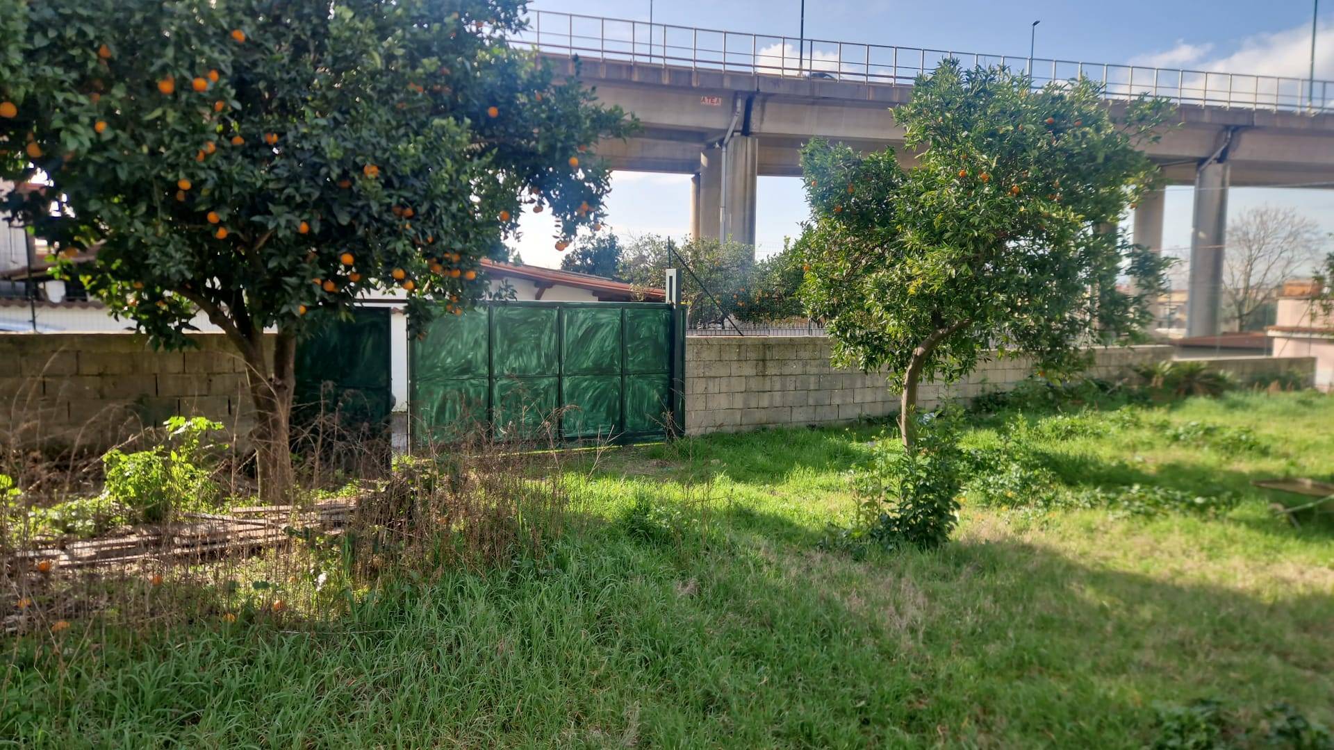 Terreno Agricolo in affitto a Napoli