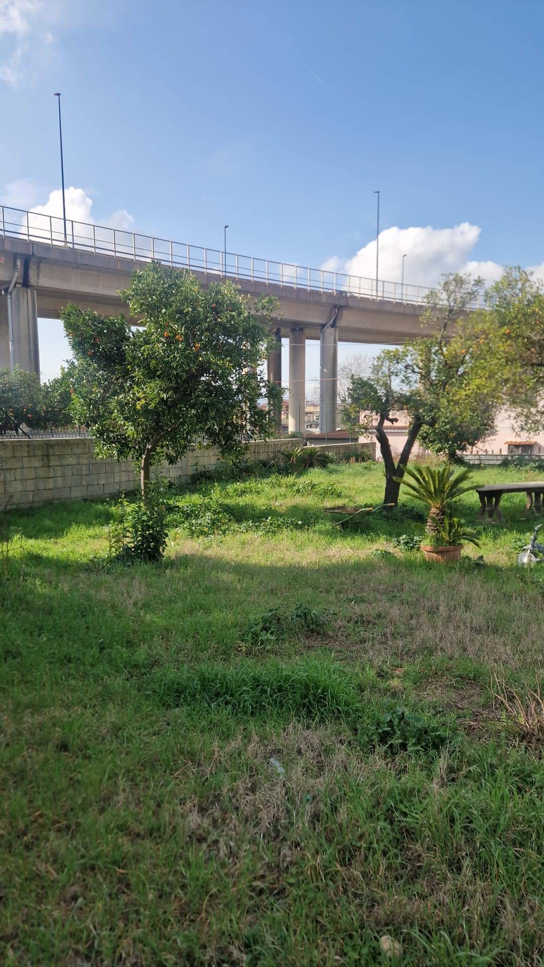 Terreno Agricolo in affitto a Napoli