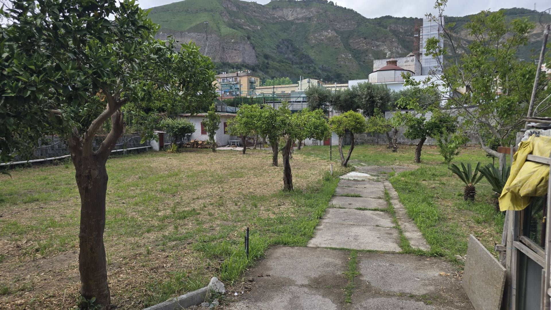 Terreno Agricolo in affitto a Napoli