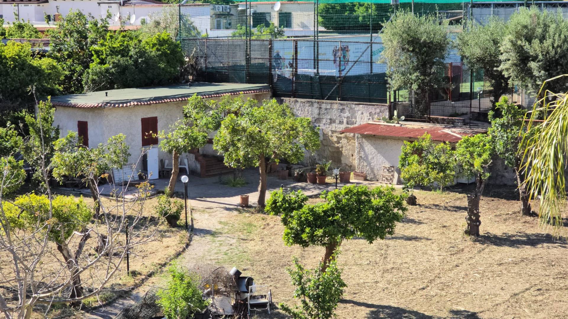 Terreno Agricolo in affitto a Napoli