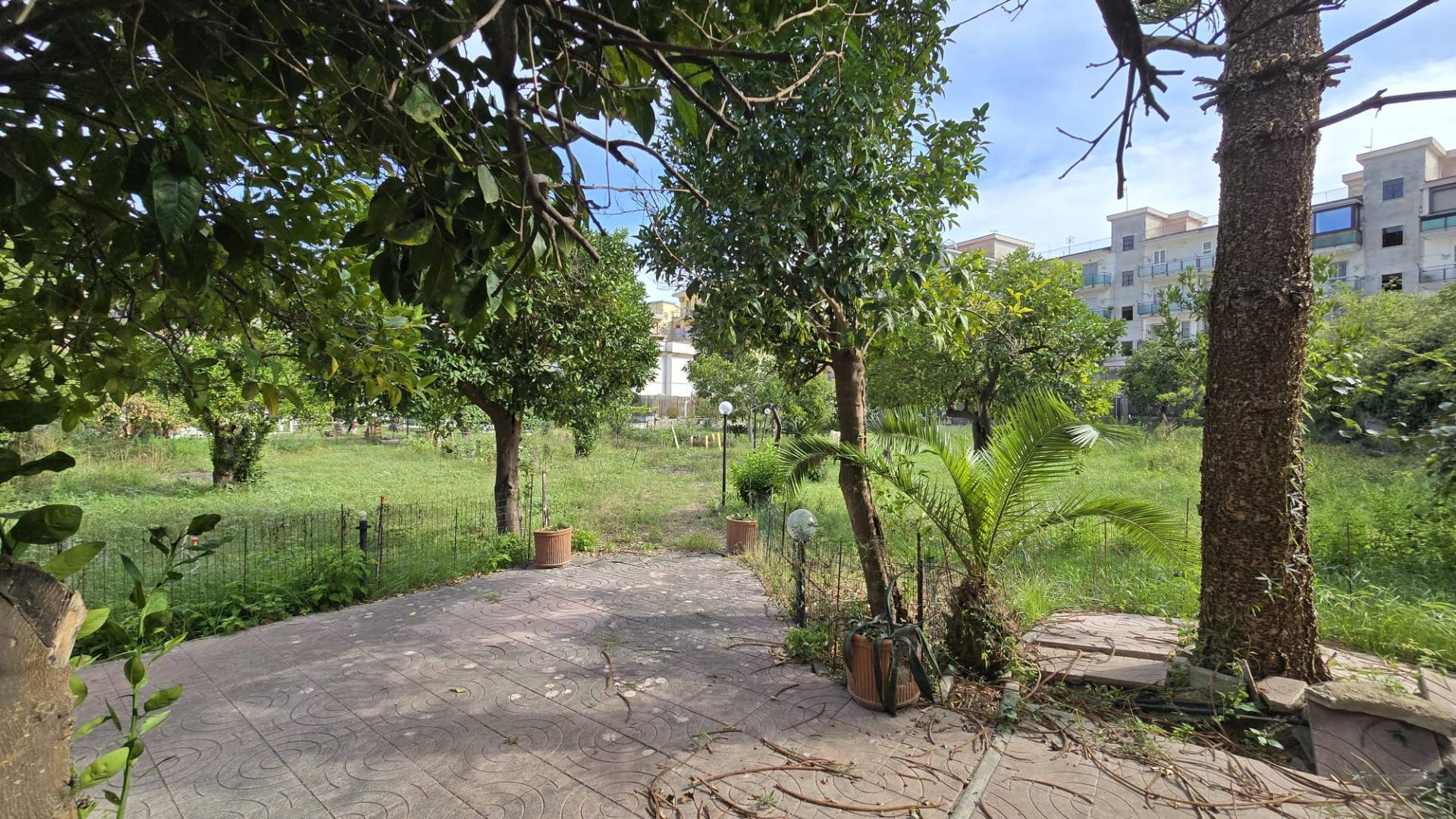 Terreno Agricolo in affitto a Napoli