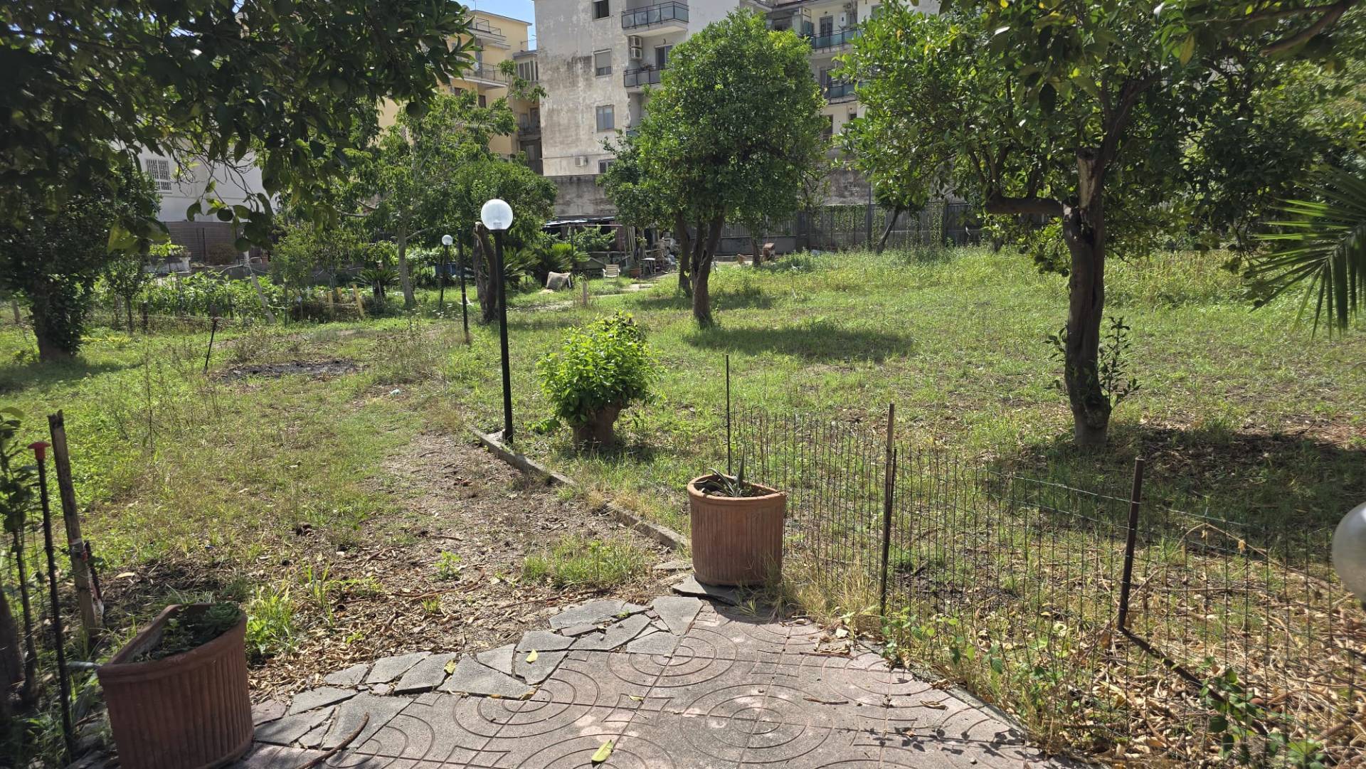 Terreno Agricolo in affitto a Napoli