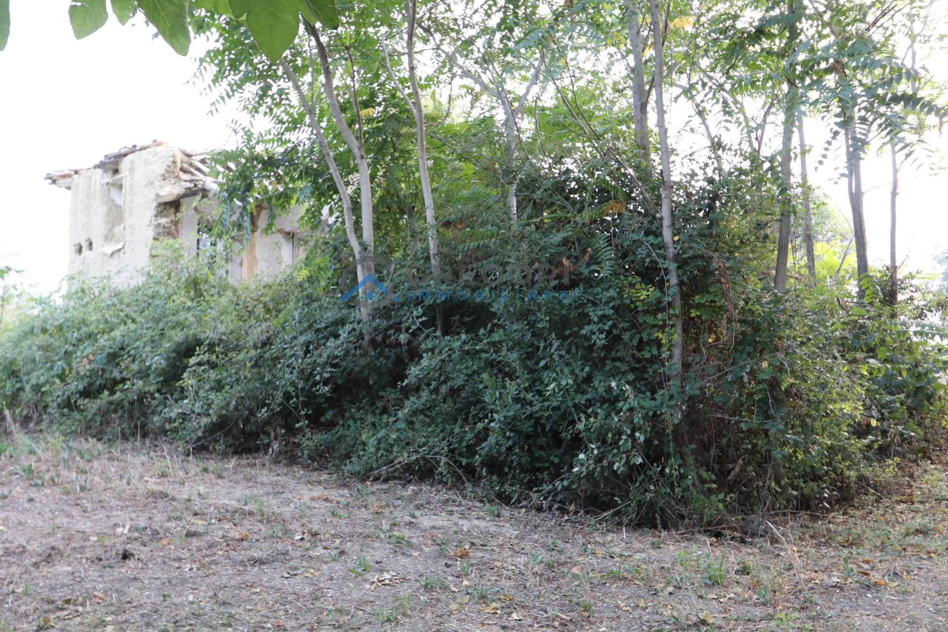 Rustico in vendita a Controguerra