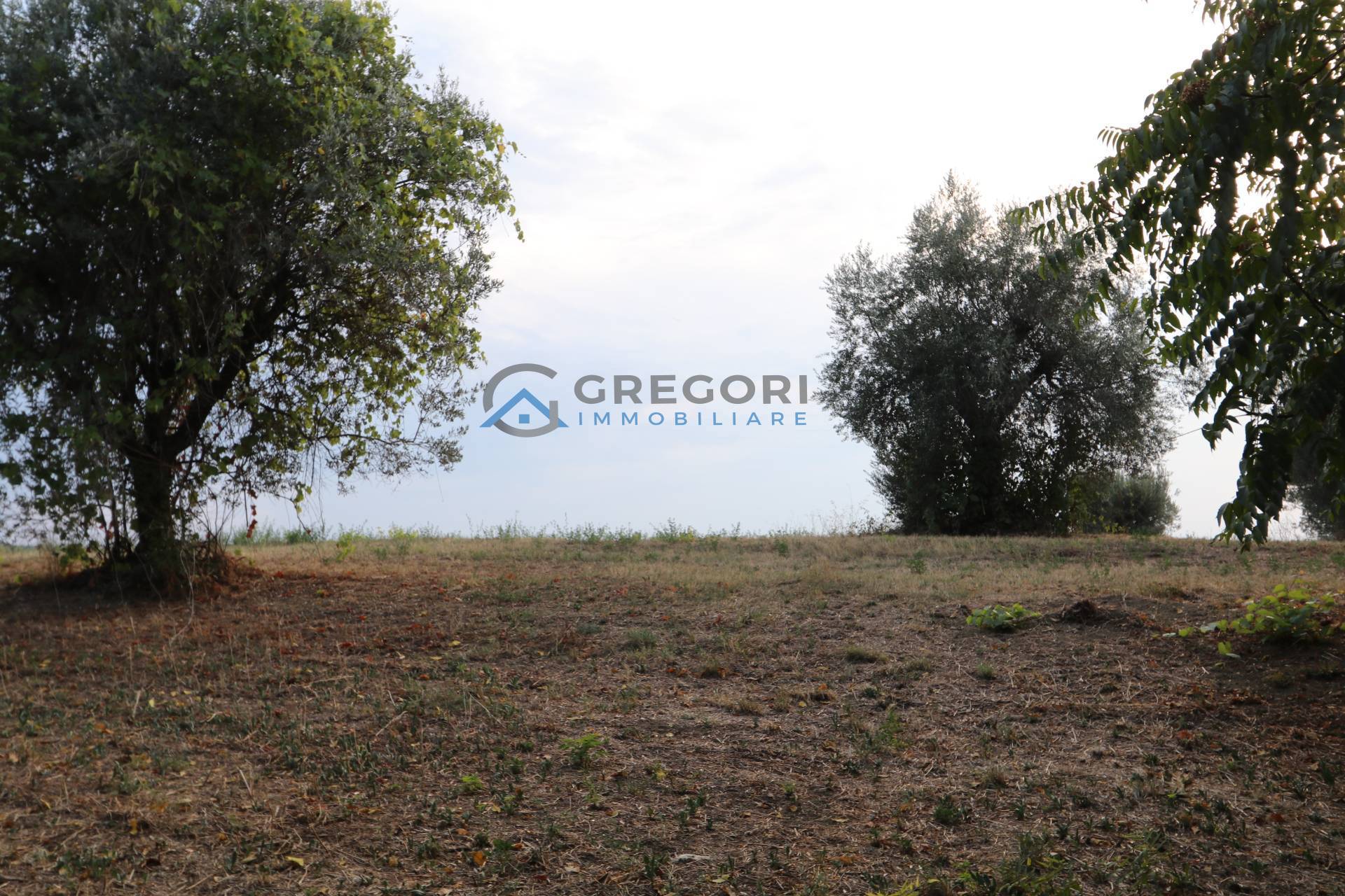 Rustico in vendita a Controguerra