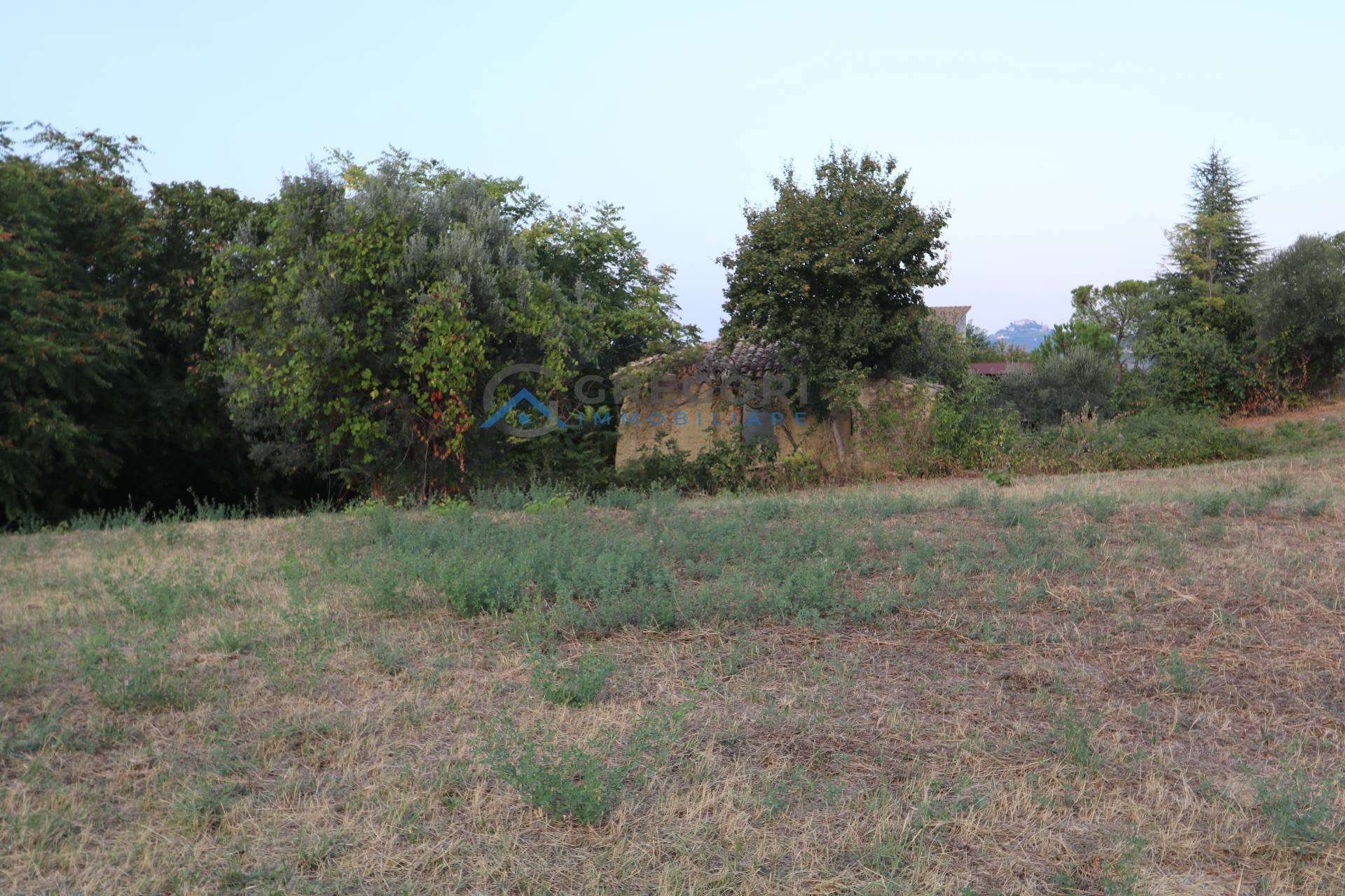 Rustico in vendita a Controguerra