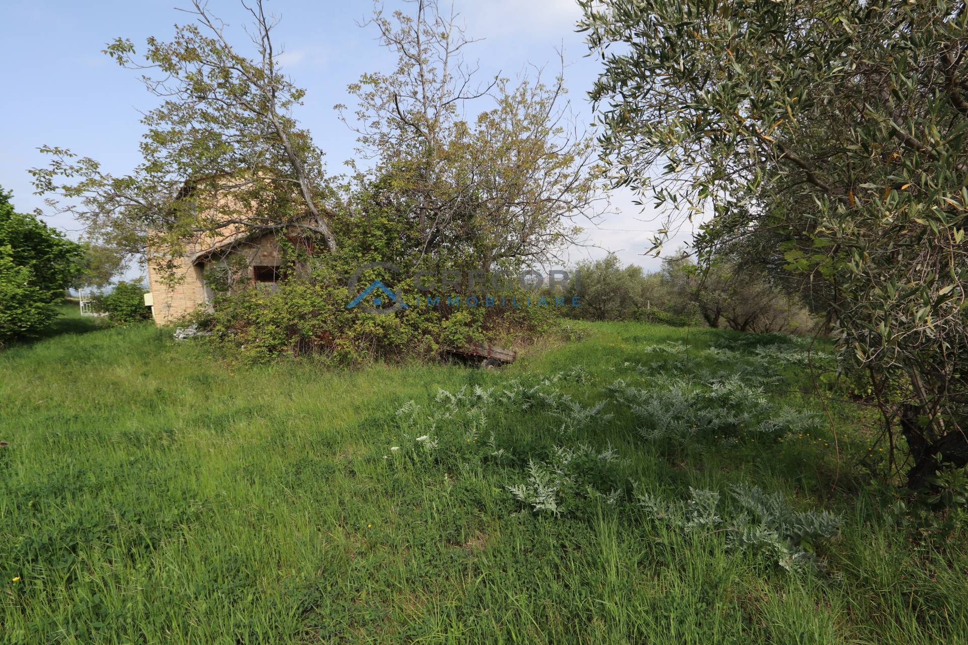 Casolare in vendita a Controguerra