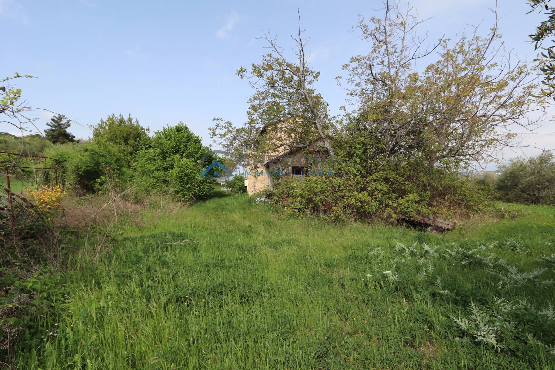 Casolare in vendita a Controguerra