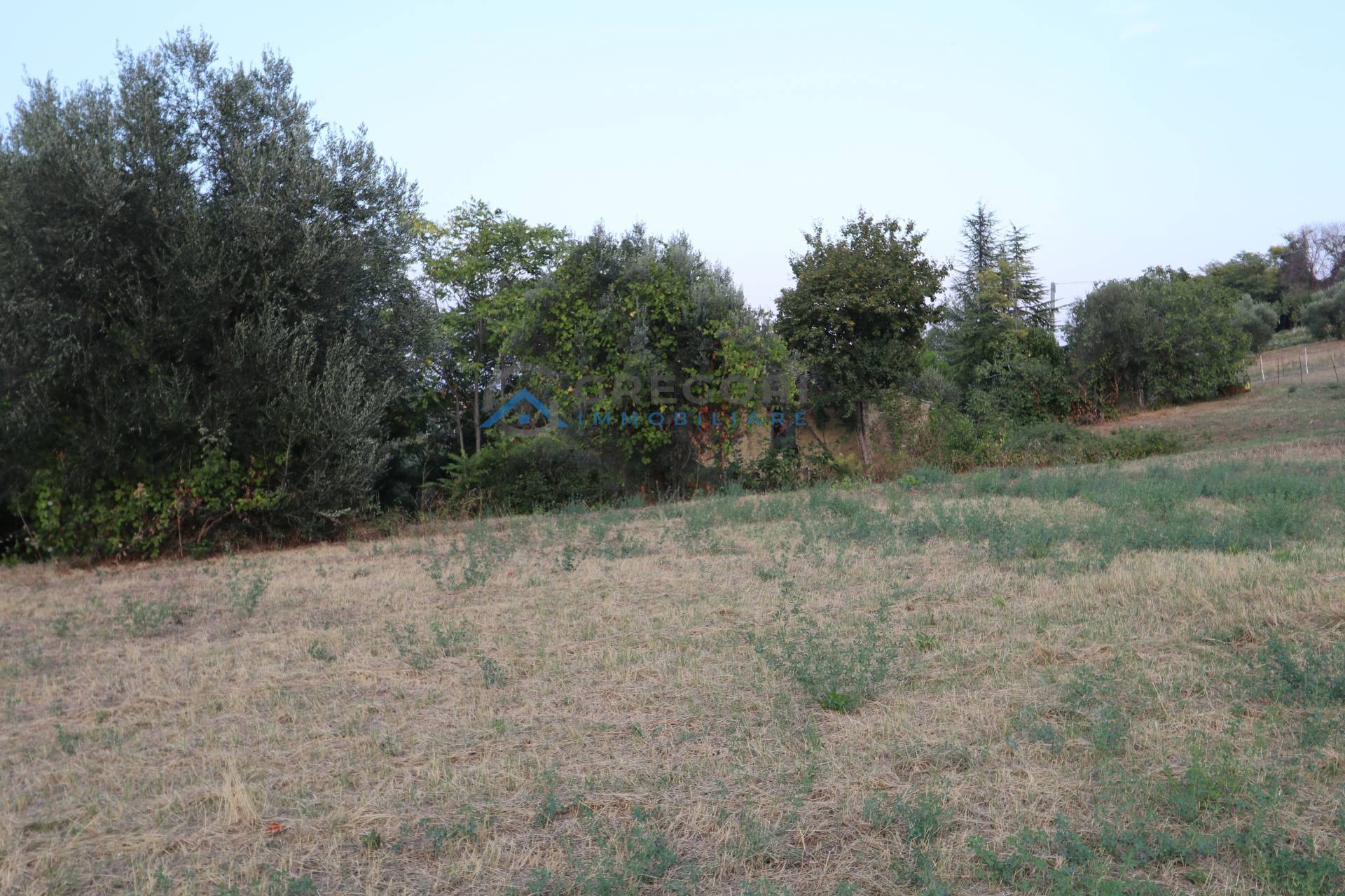 Rustico in vendita a Controguerra