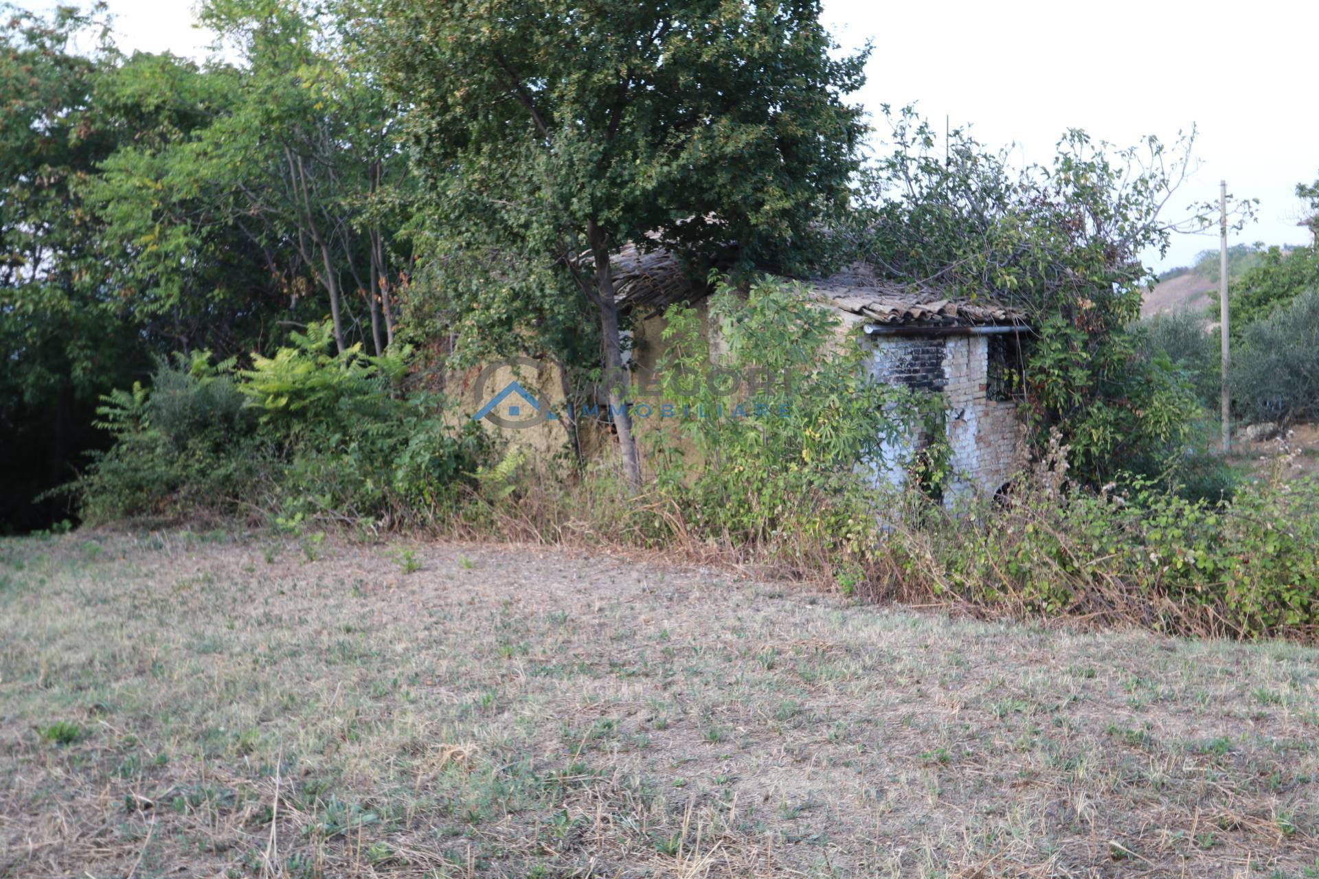 Rustico in vendita a Controguerra