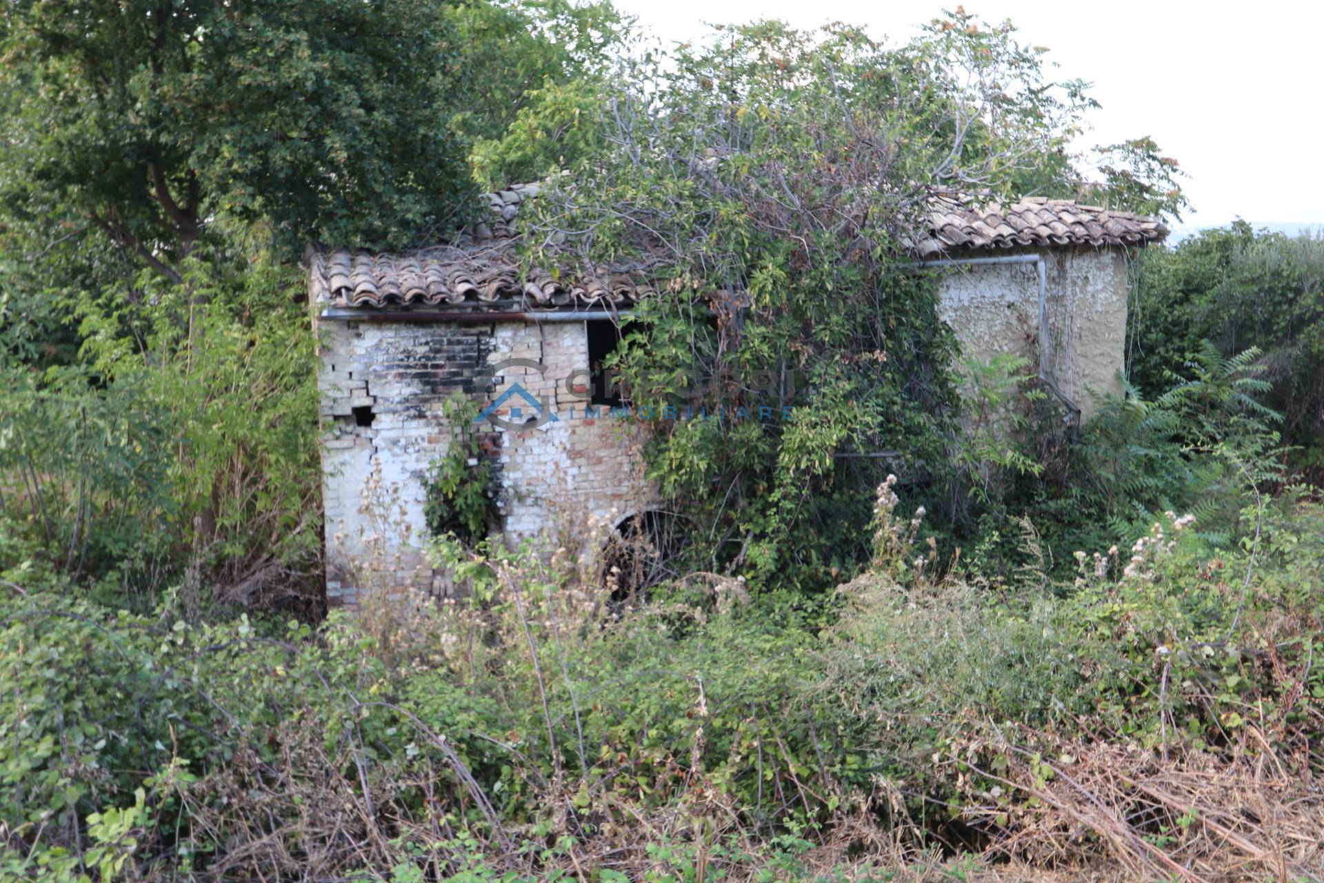 Rustico in vendita a Controguerra