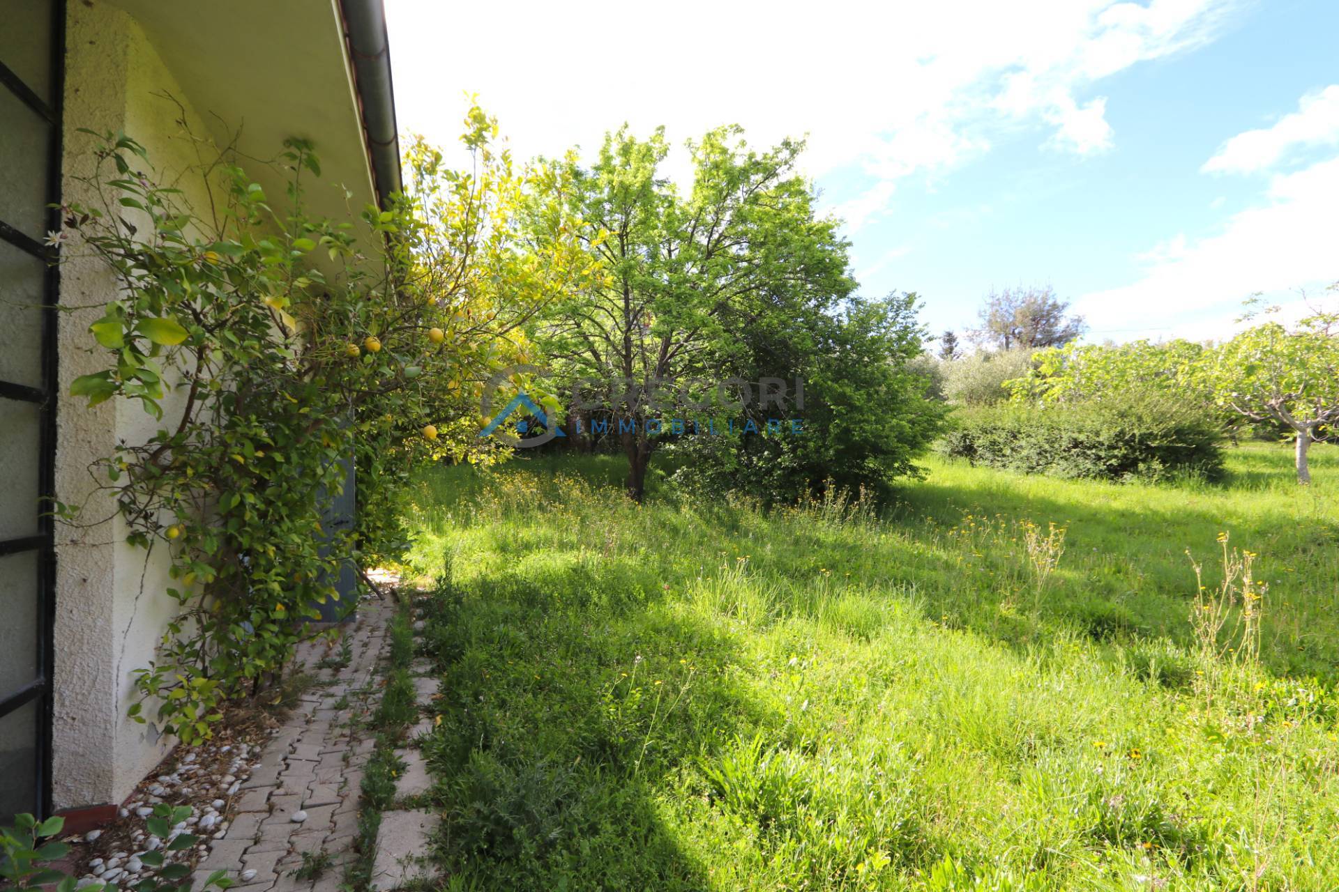 Villa in vendita a Sant'Omero