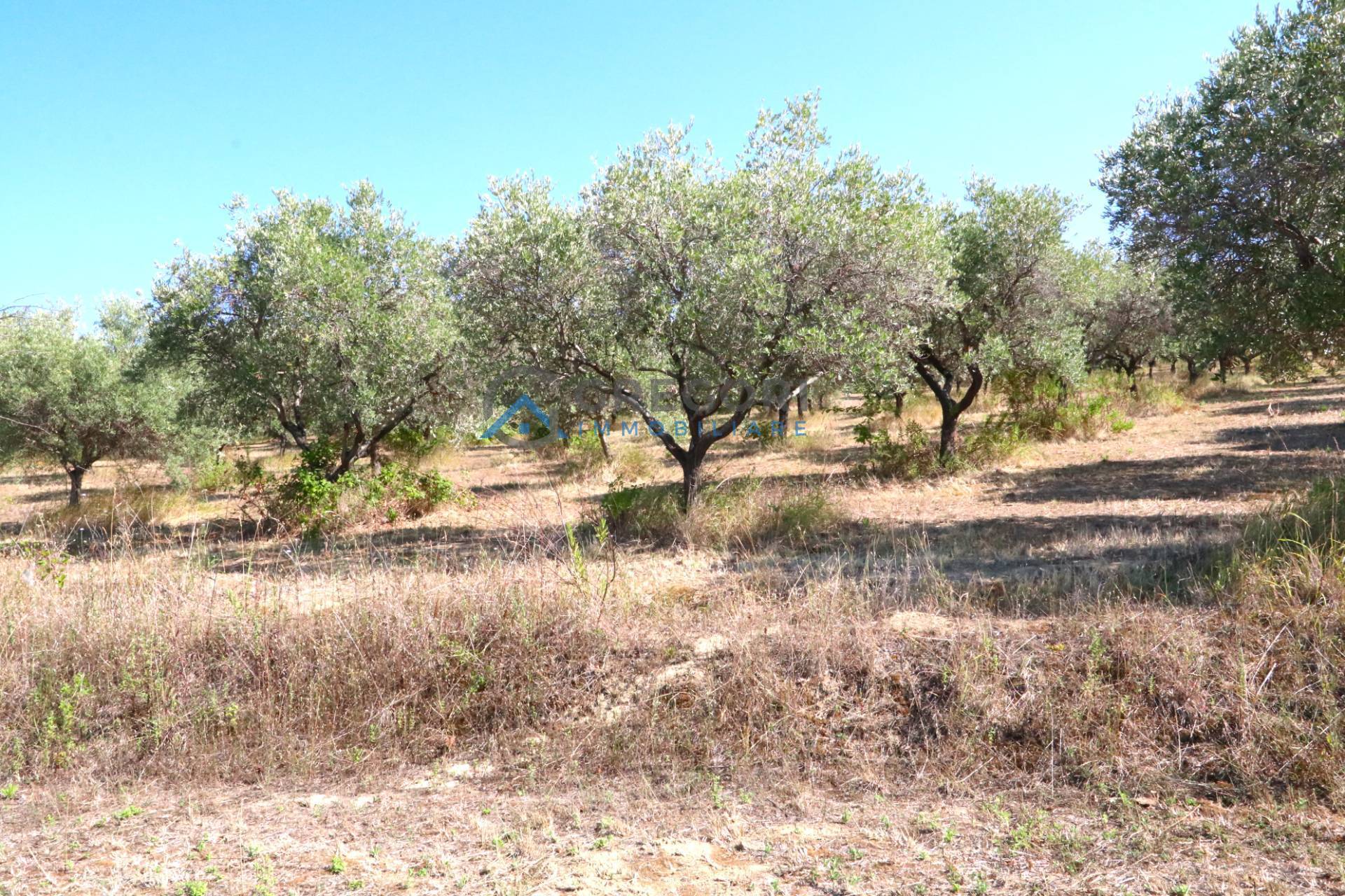 Terreno edificabile in vendita a Tortoreto